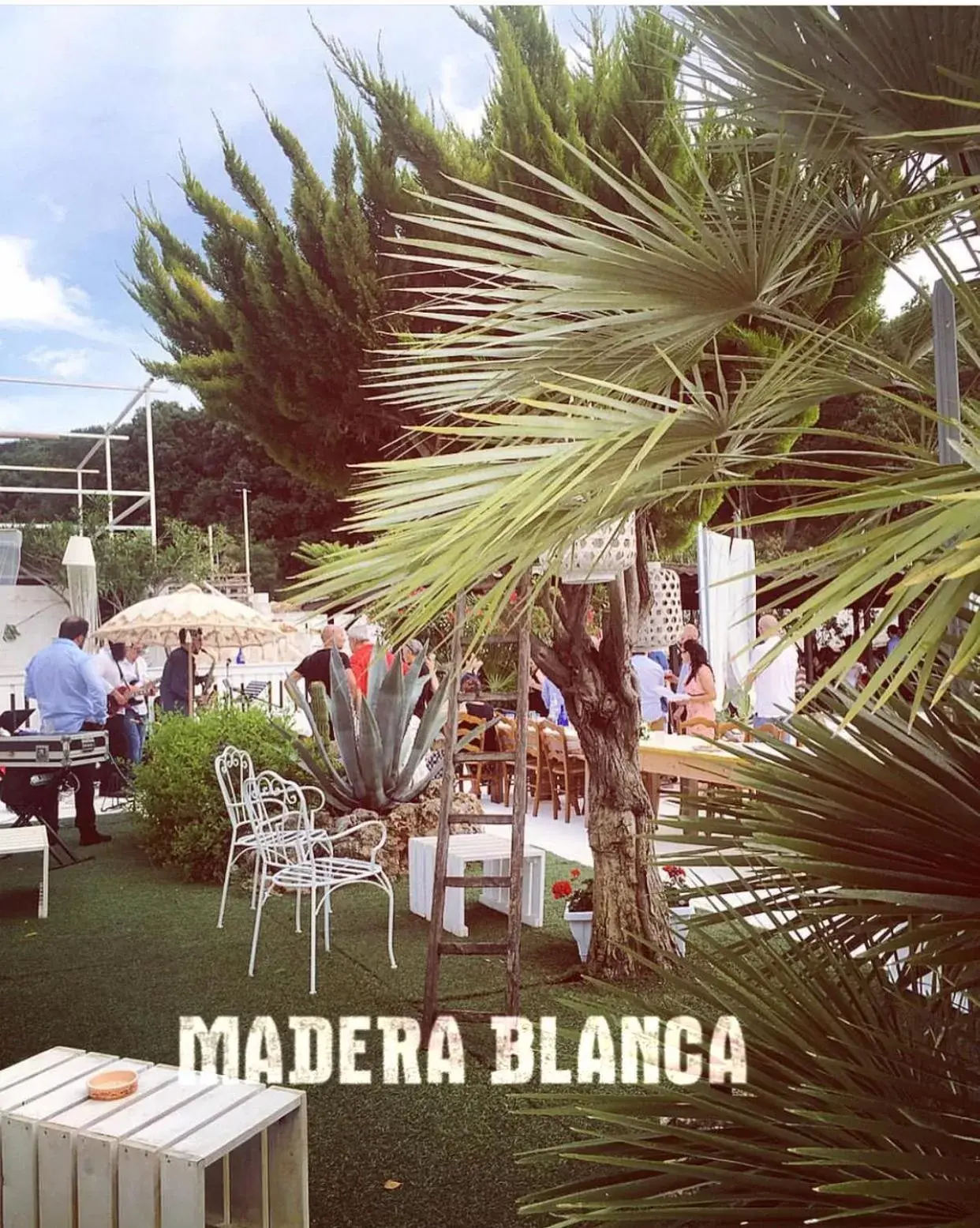 Madera Blanca