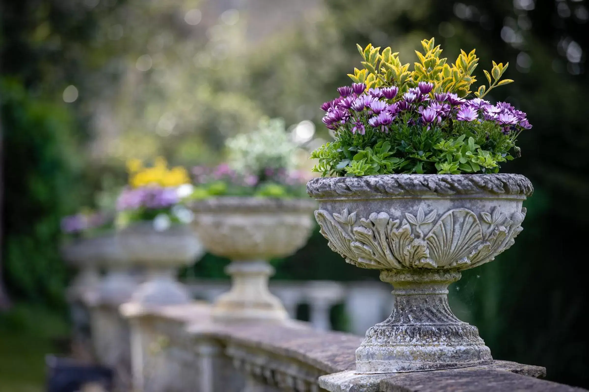 Garden in Burleigh Court Hotel