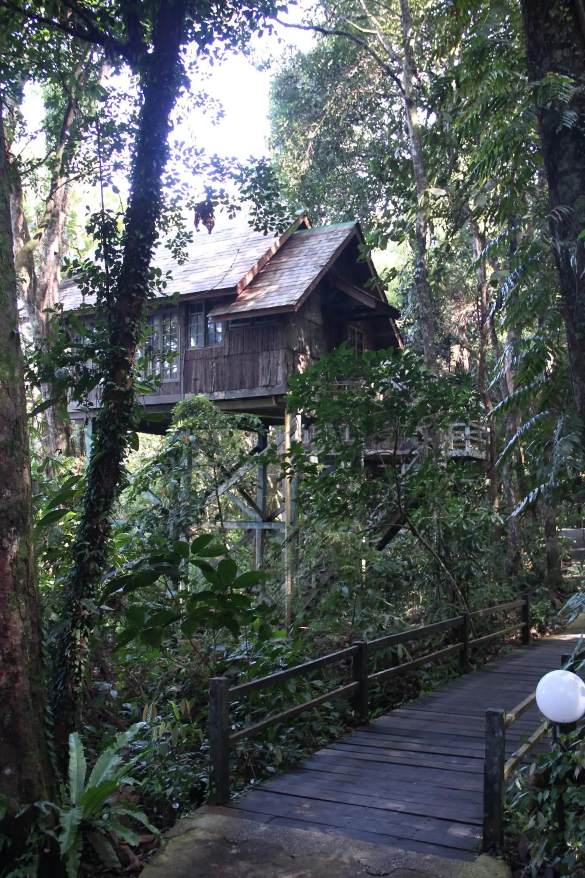 Property Building in Permai Rainforest Resort