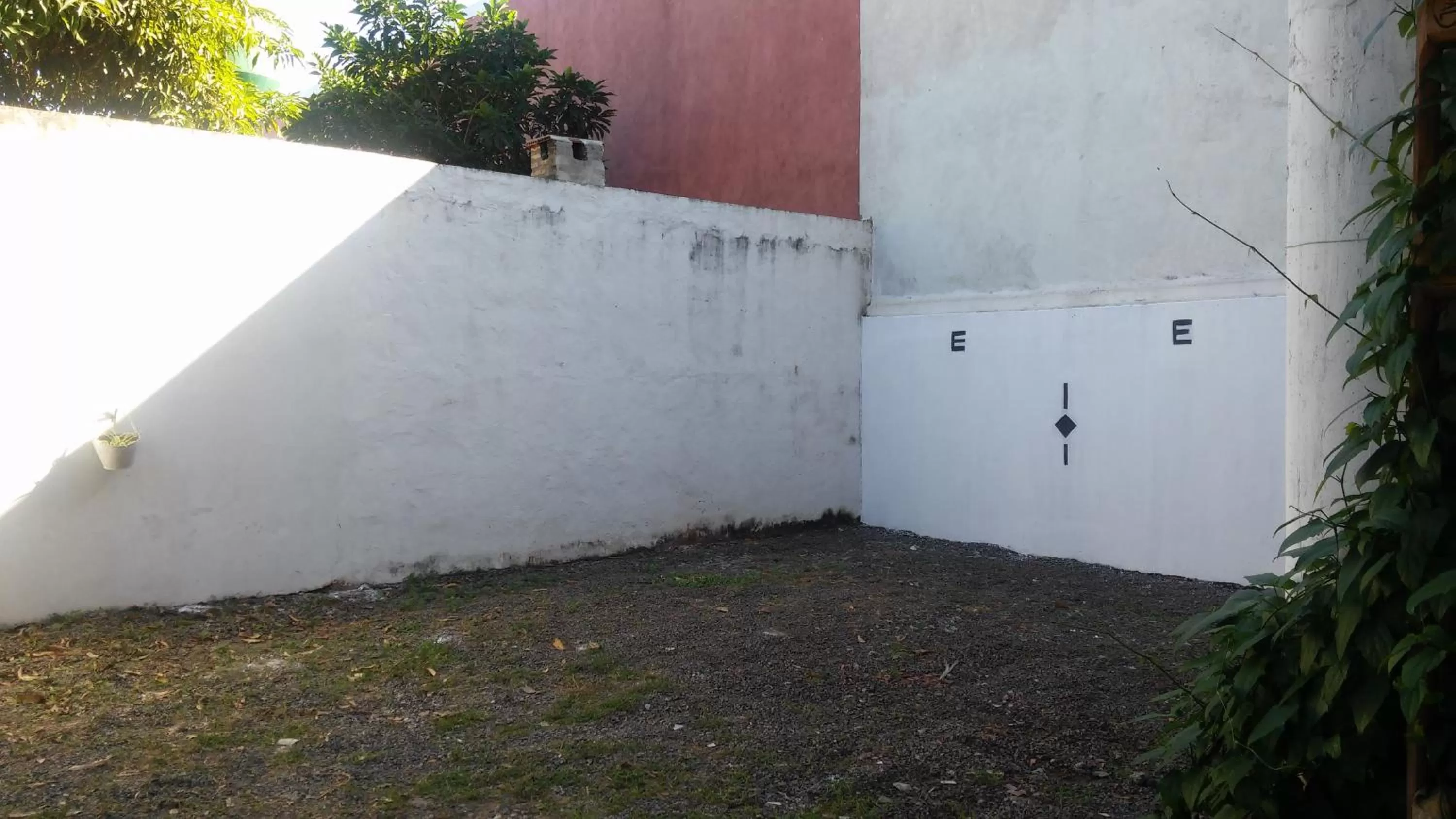 Garden in Madame Lynch Hotel Asuncion