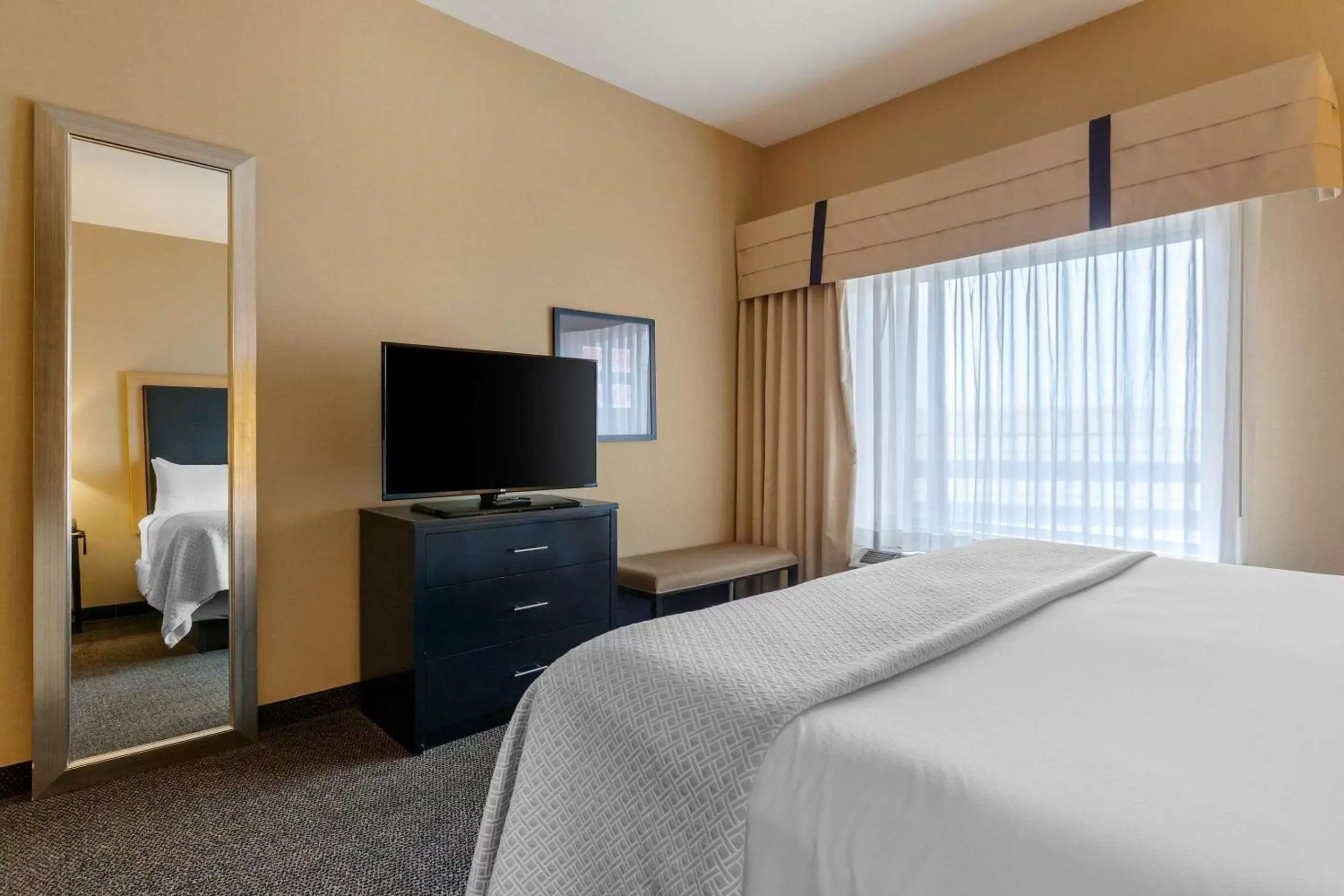 King Suite with Roll-In Shower - Disability Access in Cambria Hotel Denver International Airport