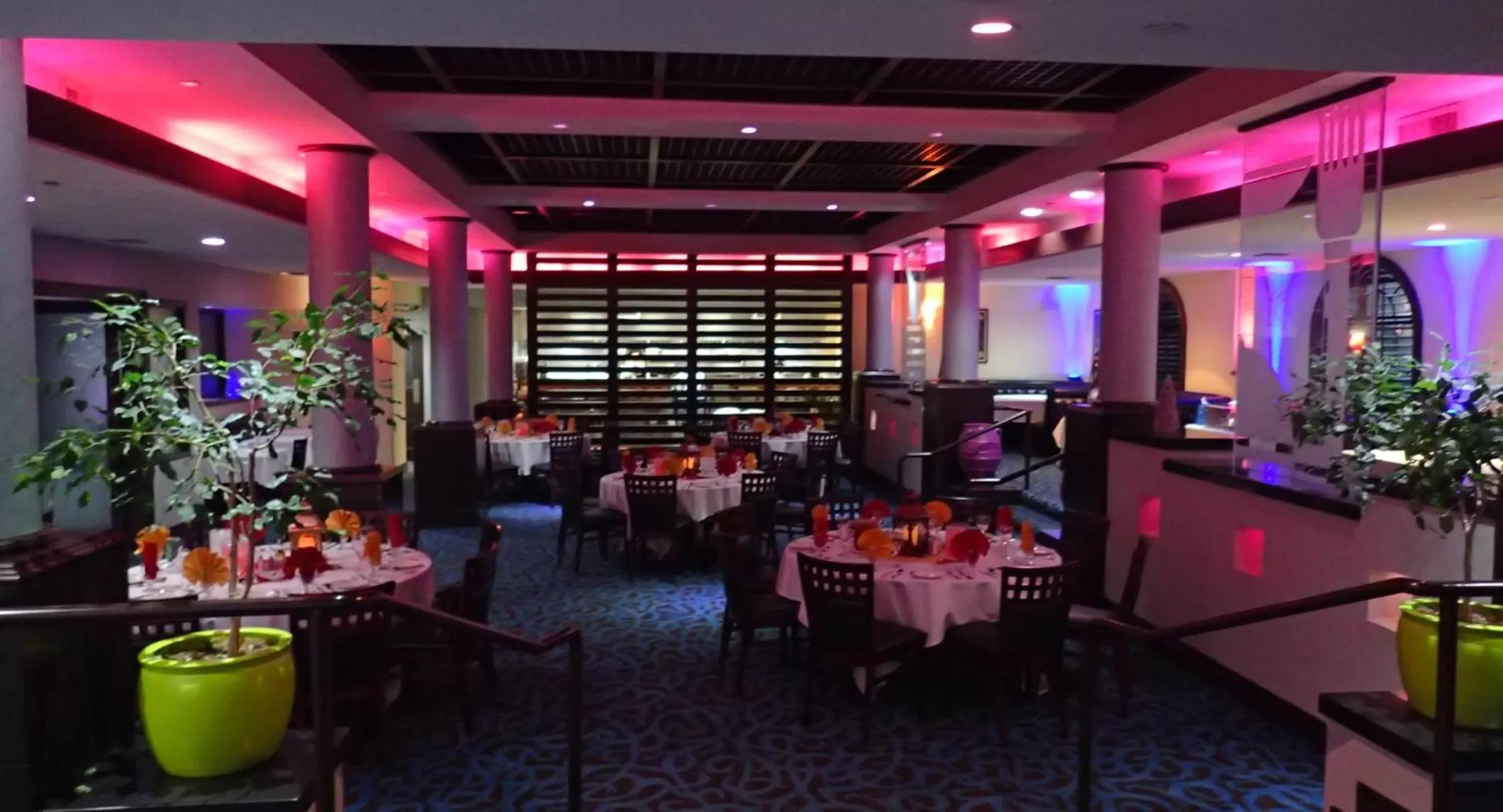 Food and drinks, Restaurant/Places to Eat in Radisson Hotel Chatsworth