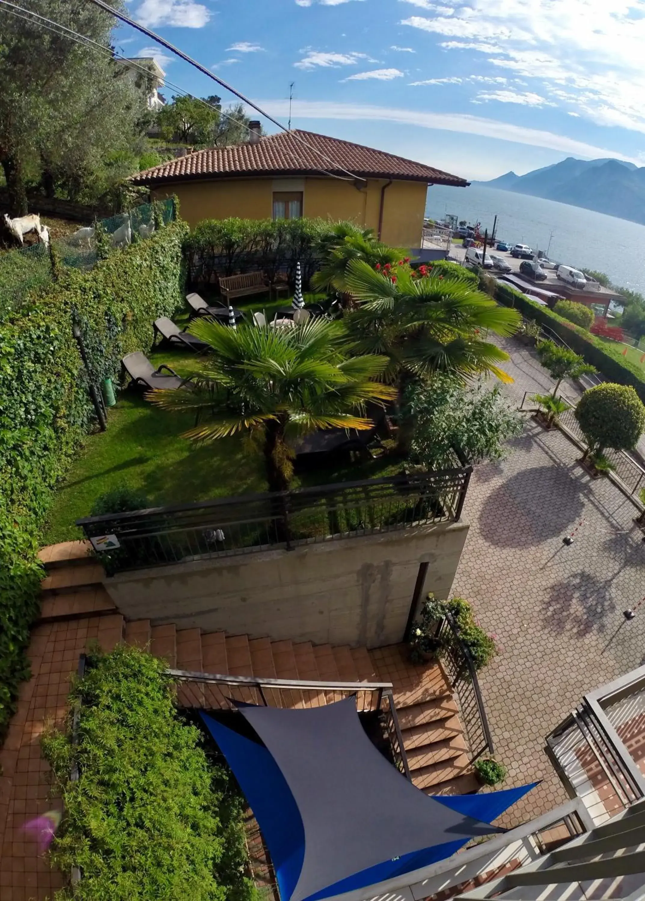 Bird's eye view, Bird's-eye View in Albergo Villa Edera