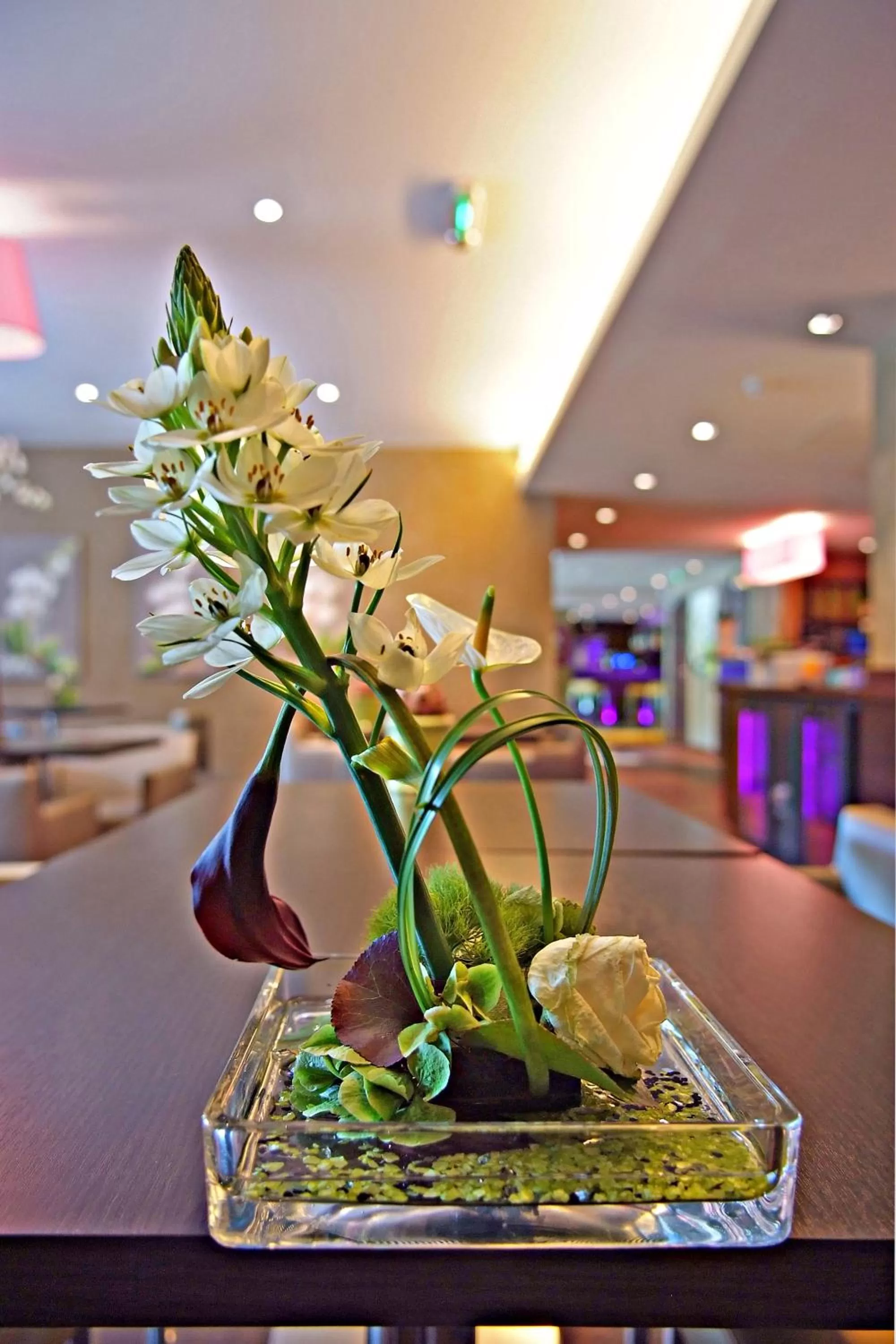 Restaurant/places to eat in Hôtel Les Rives