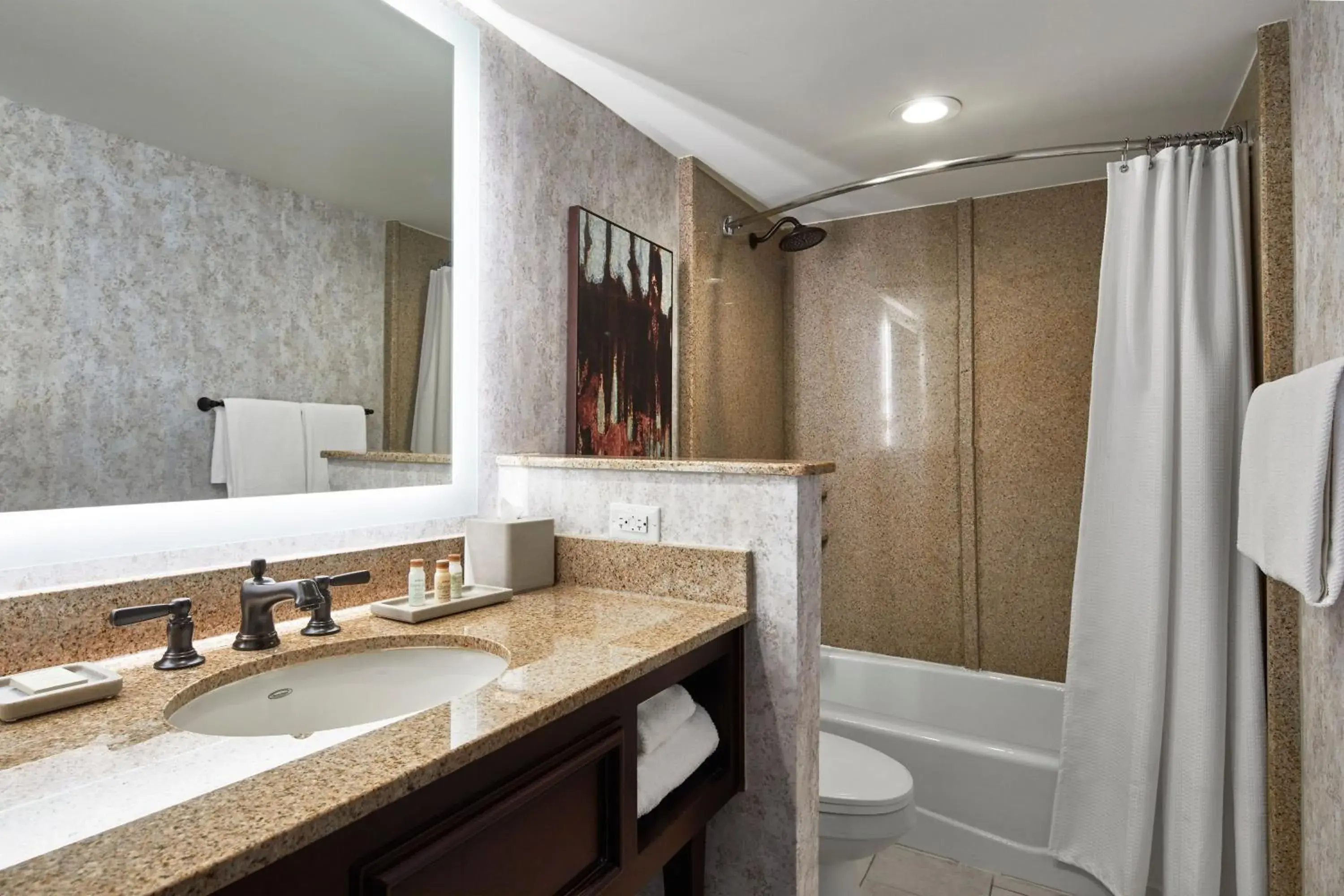 Bathroom in Renaissance by Marriott Mobile Riverview Plaza Hotel