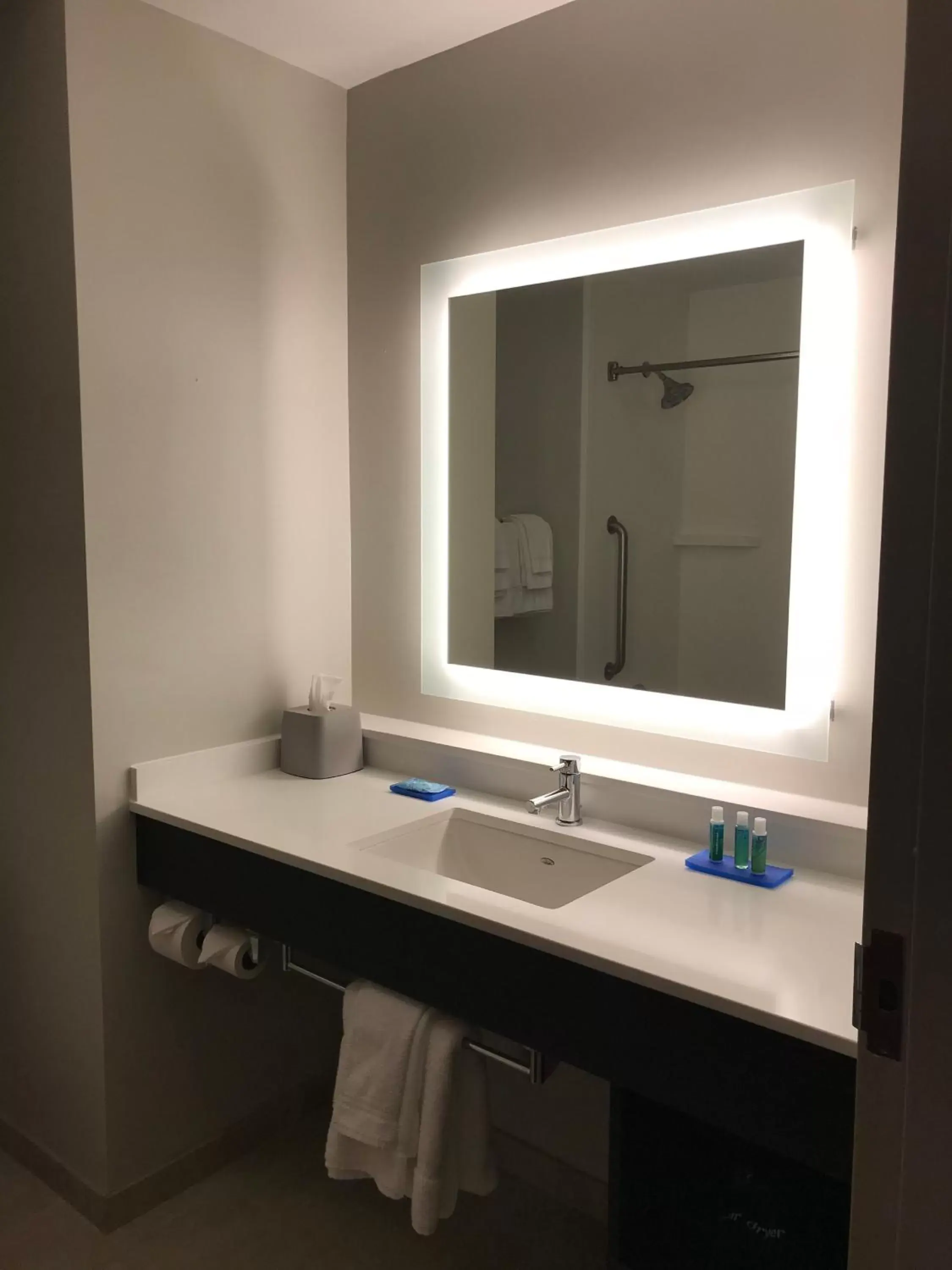Bathroom in Holiday Inn Express Hotel & Suites Canton, an IHG Hotel