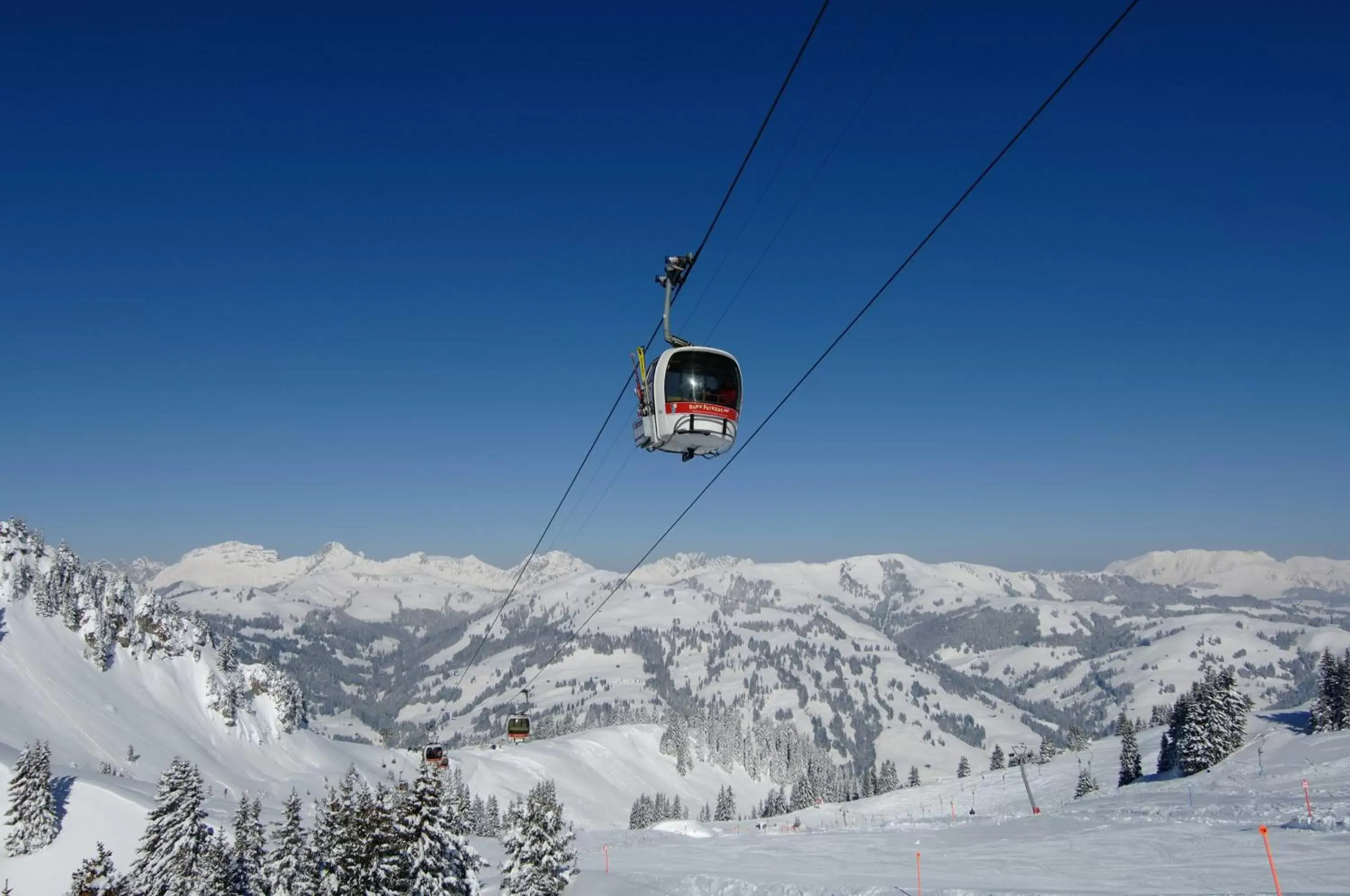 Area and facilities, Winter in Hotel Alpenrose mit Gourmet-Restaurant Azalée