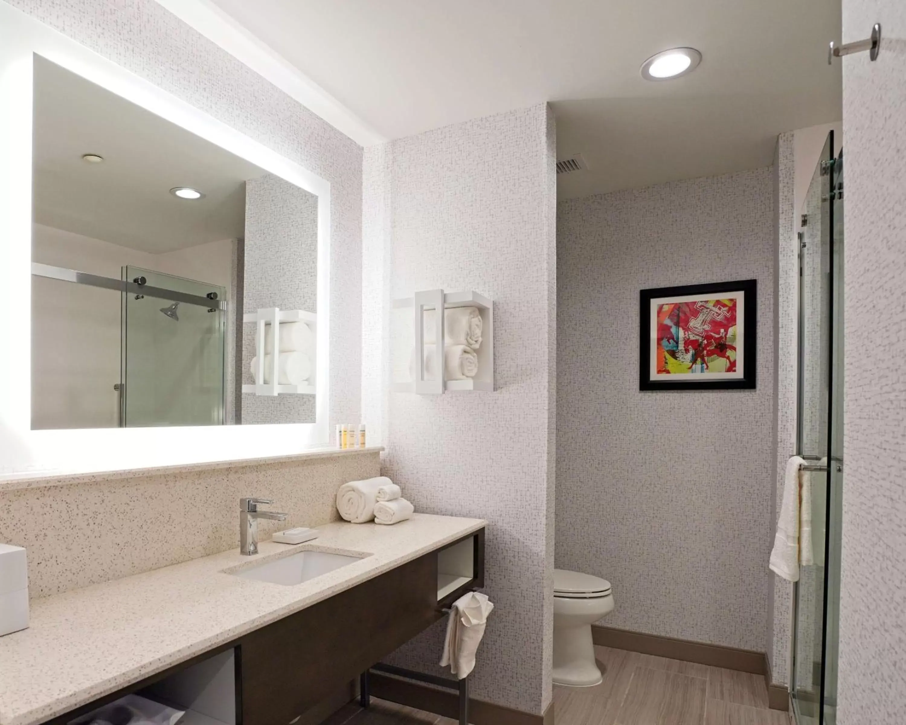 Bathroom in Hampton Inn & Suites Lubbock University, Tx