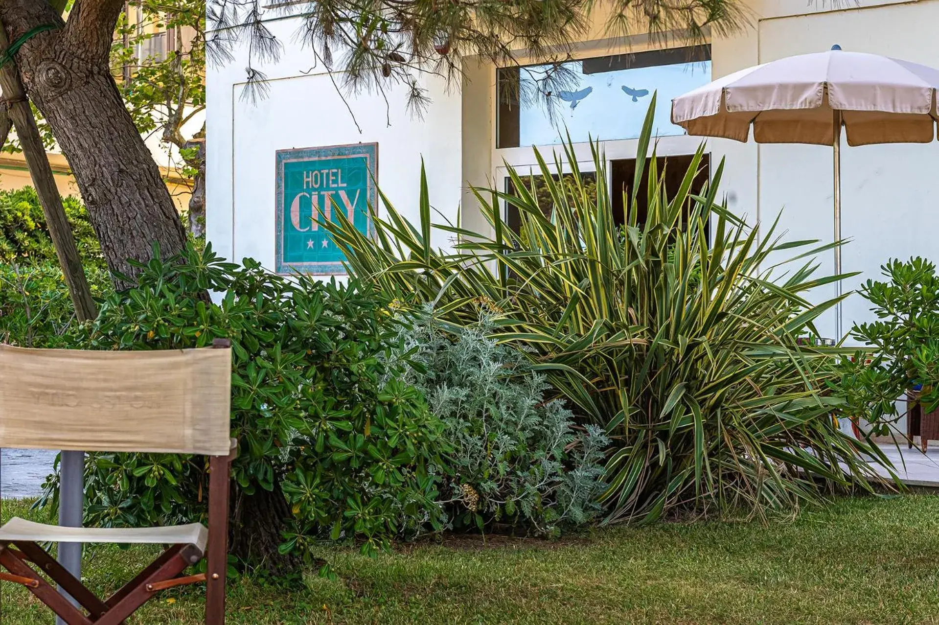 Garden, Property Building in Hotel City