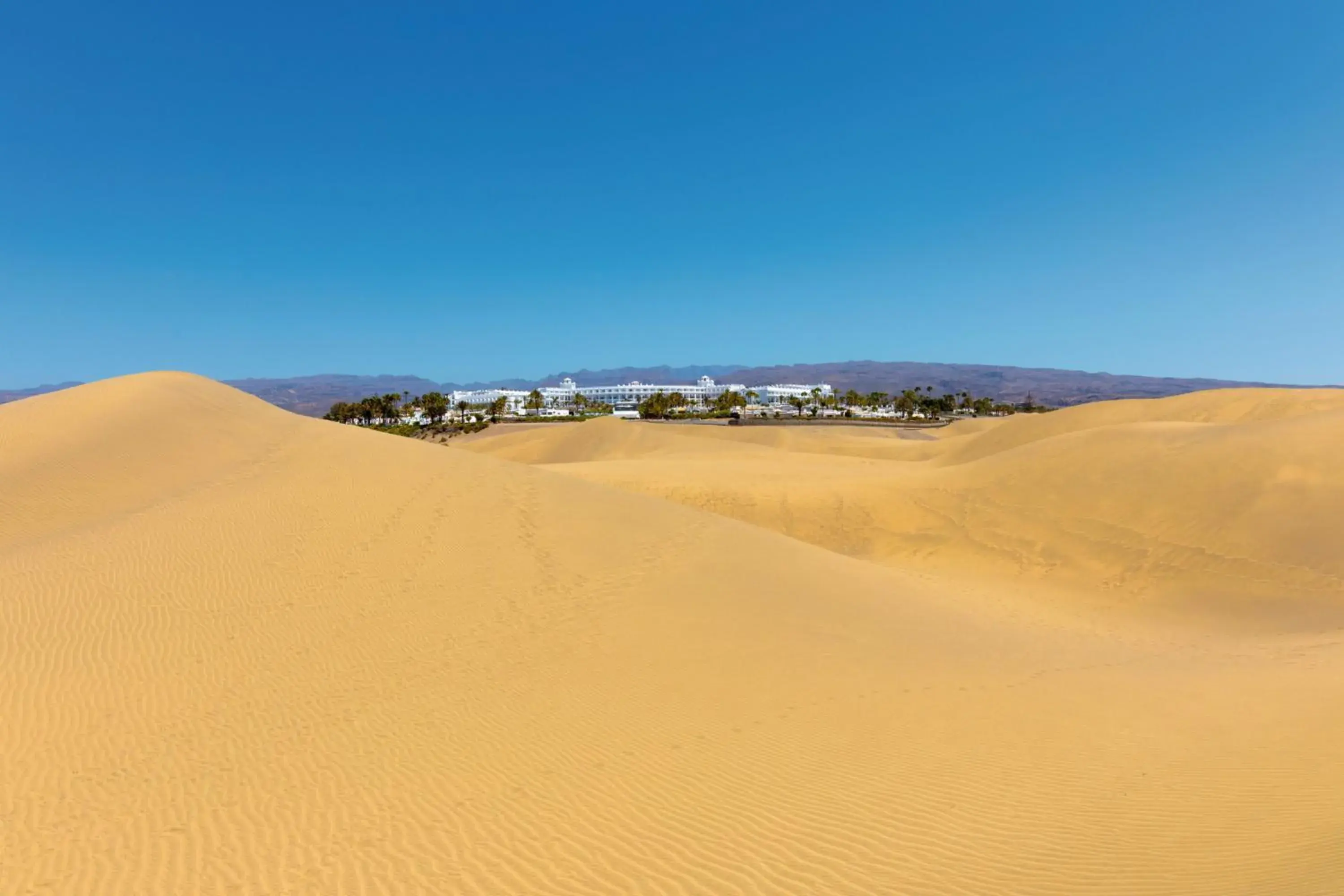 Natural landscape, Winter in Hotel Riu Palace Maspalomas - Adults Only
