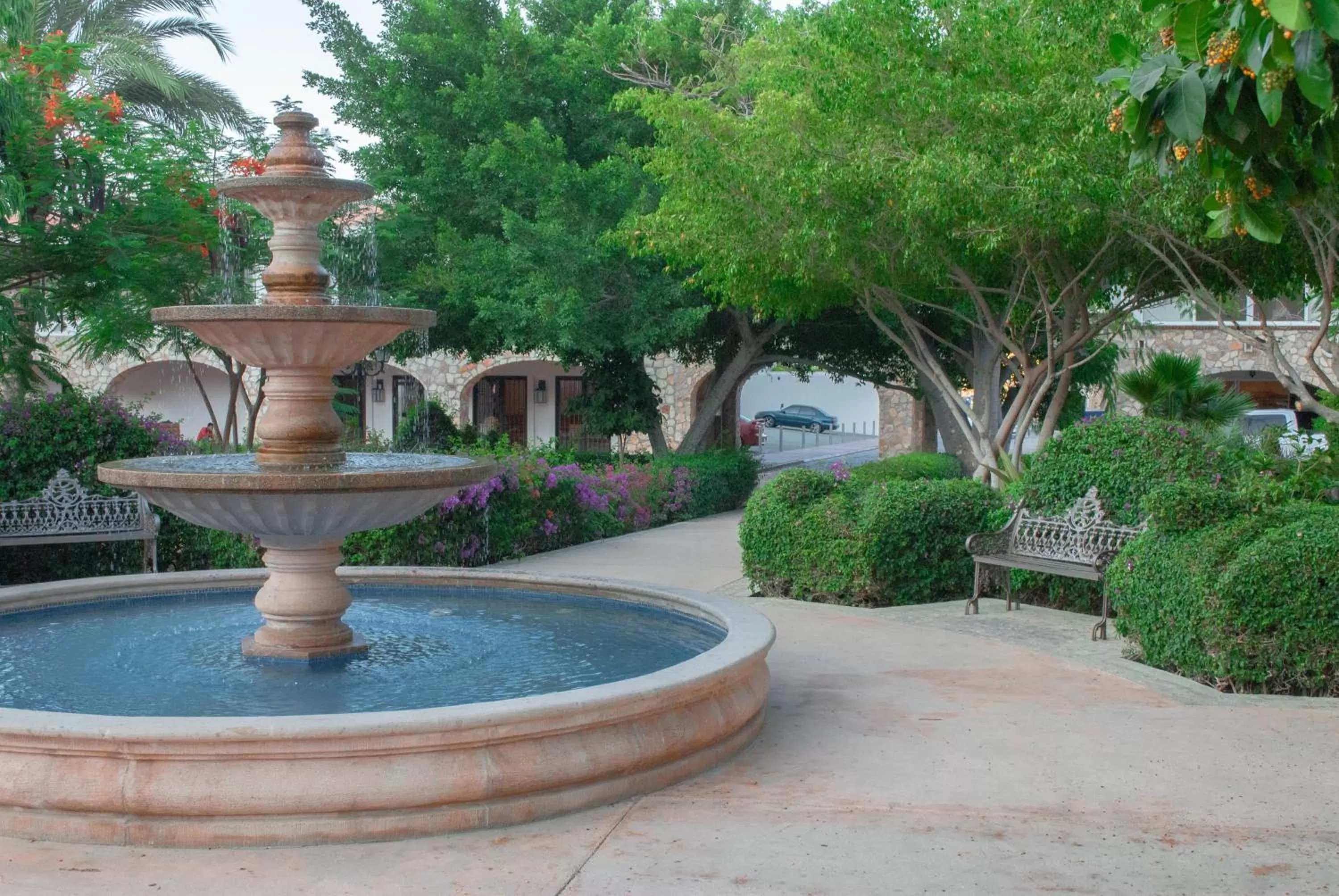 Garden in Pedregal Suites - Marina and Downtown