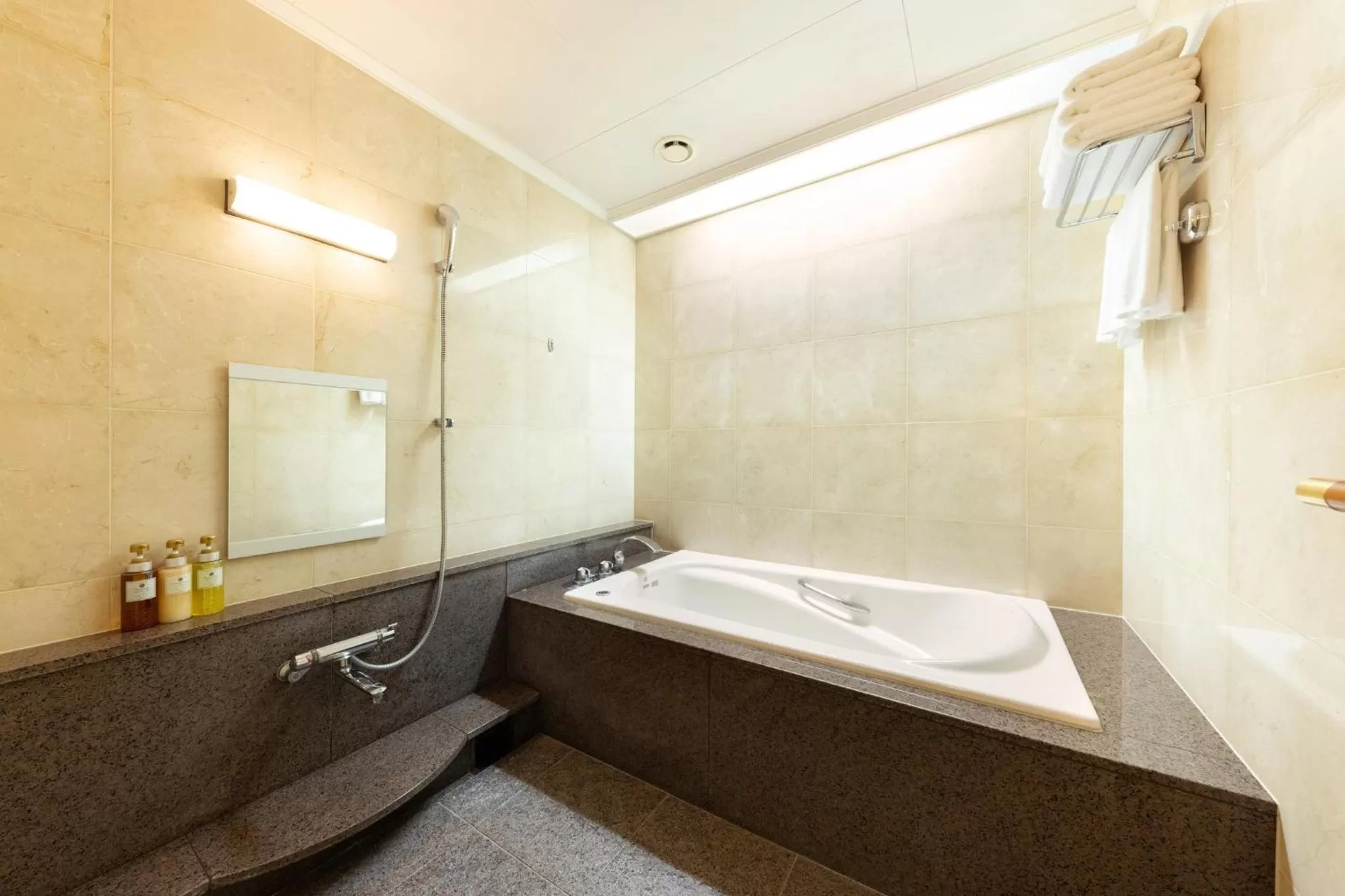 Bathroom in ANA Crowne Plaza Toyama by IHG
