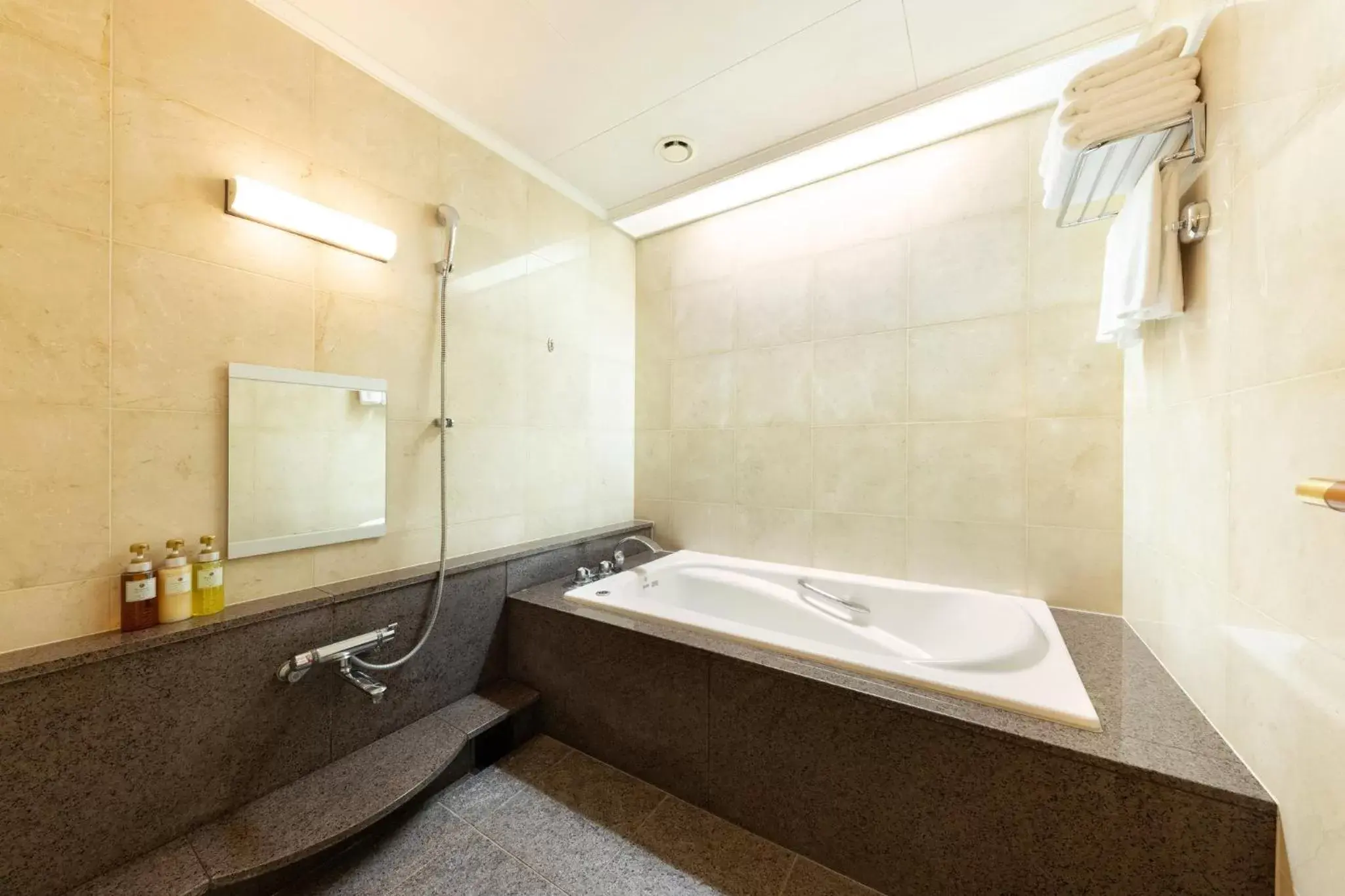 Bathroom in ANA Crowne Plaza Toyama, an IHG Hotel