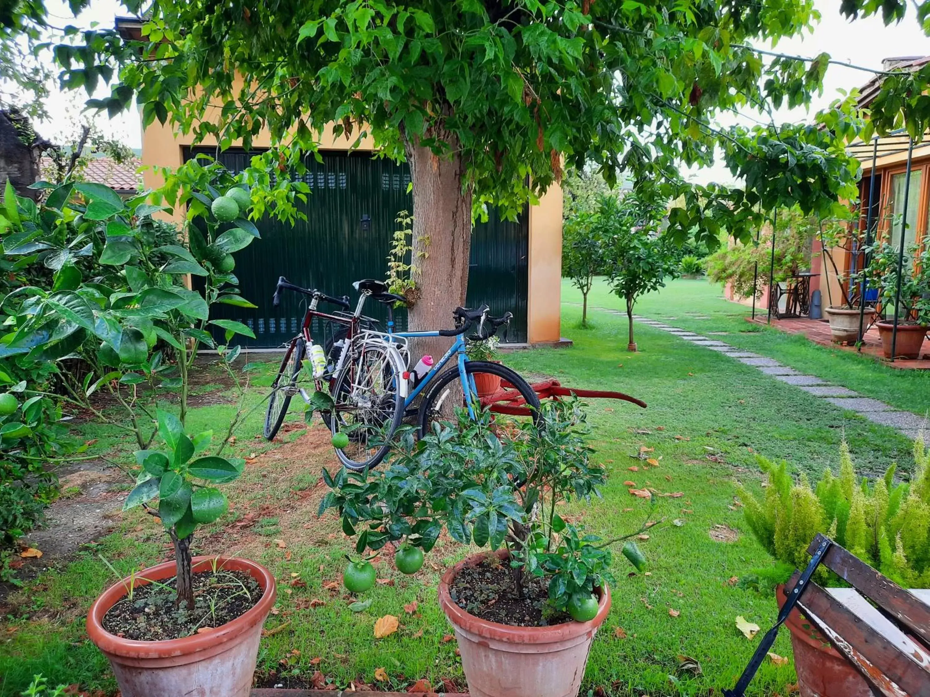 Garden view, Garden in B&B La corte di Stelio