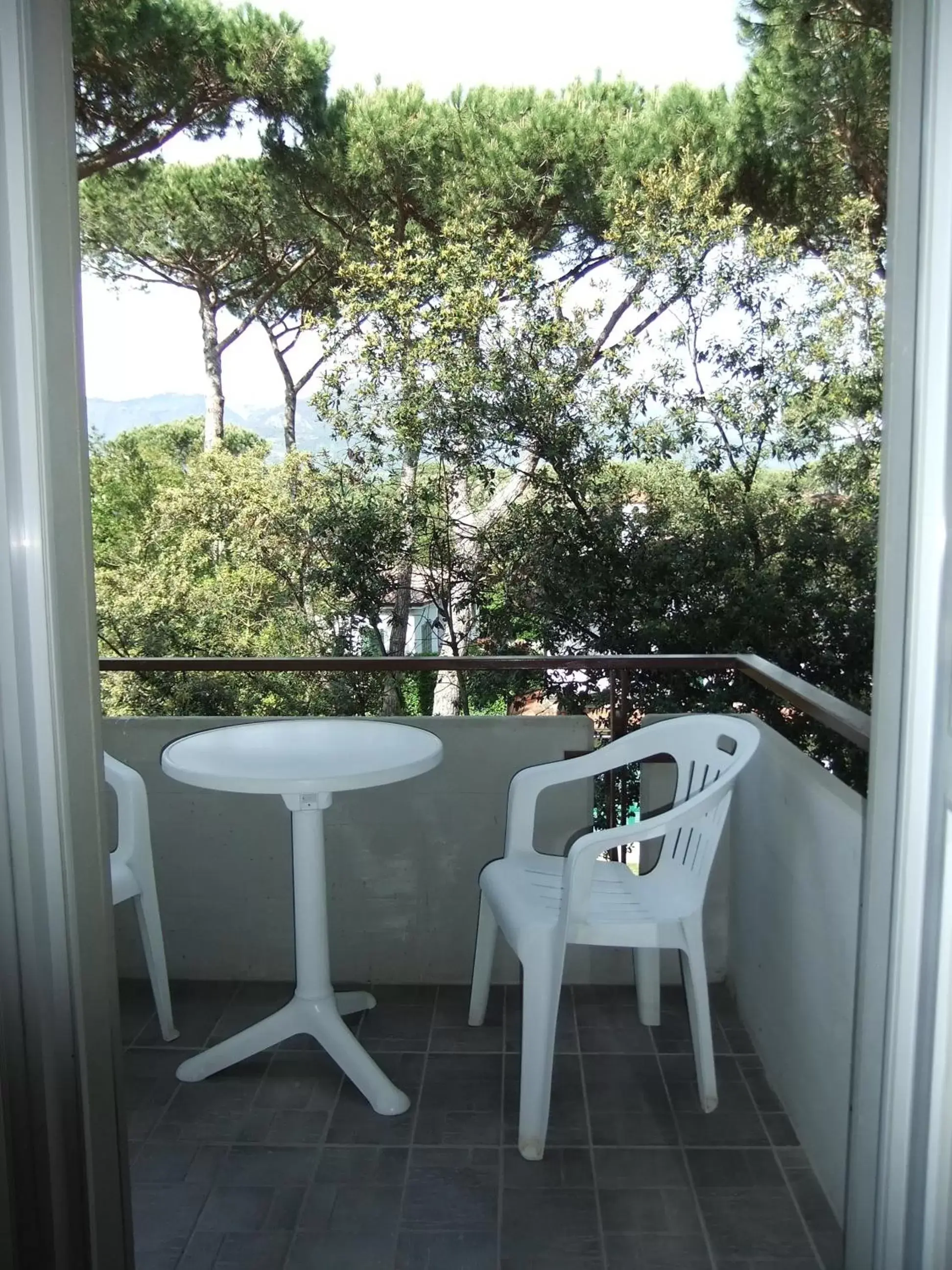 Natural landscape, Balcony/Terrace in Hotel Giulio Cesare