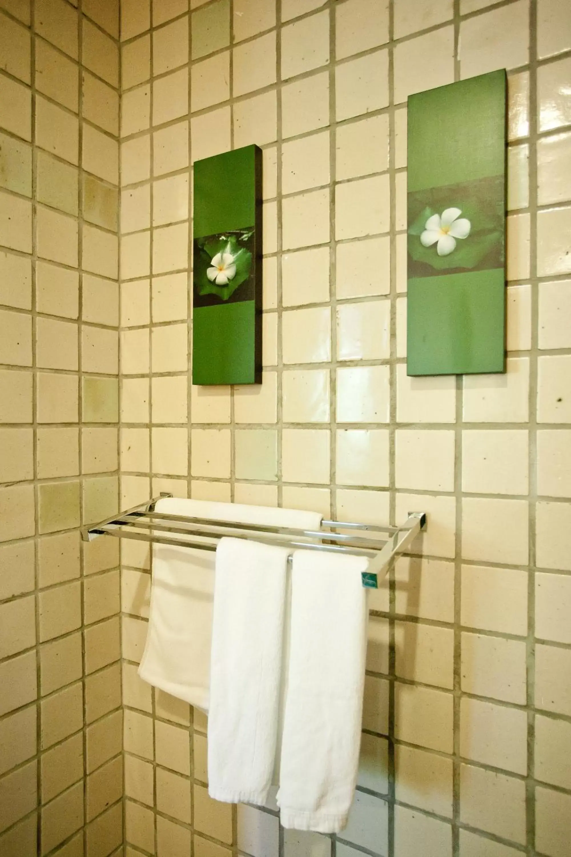 Decorative detail, Bathroom in Tanaosri Resort