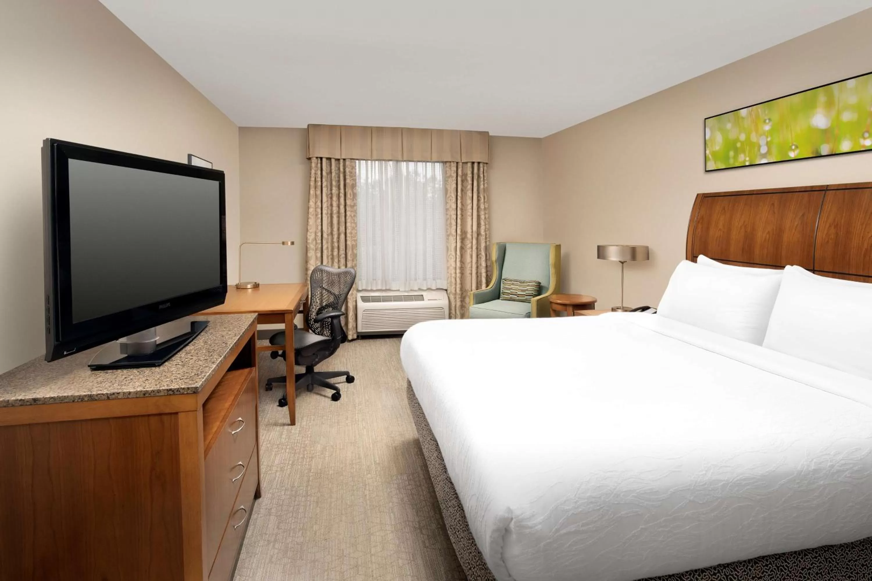 King Room with Roll-In Shower - Disability Access in Hilton Garden Inn Atlanta West/Lithia Springs