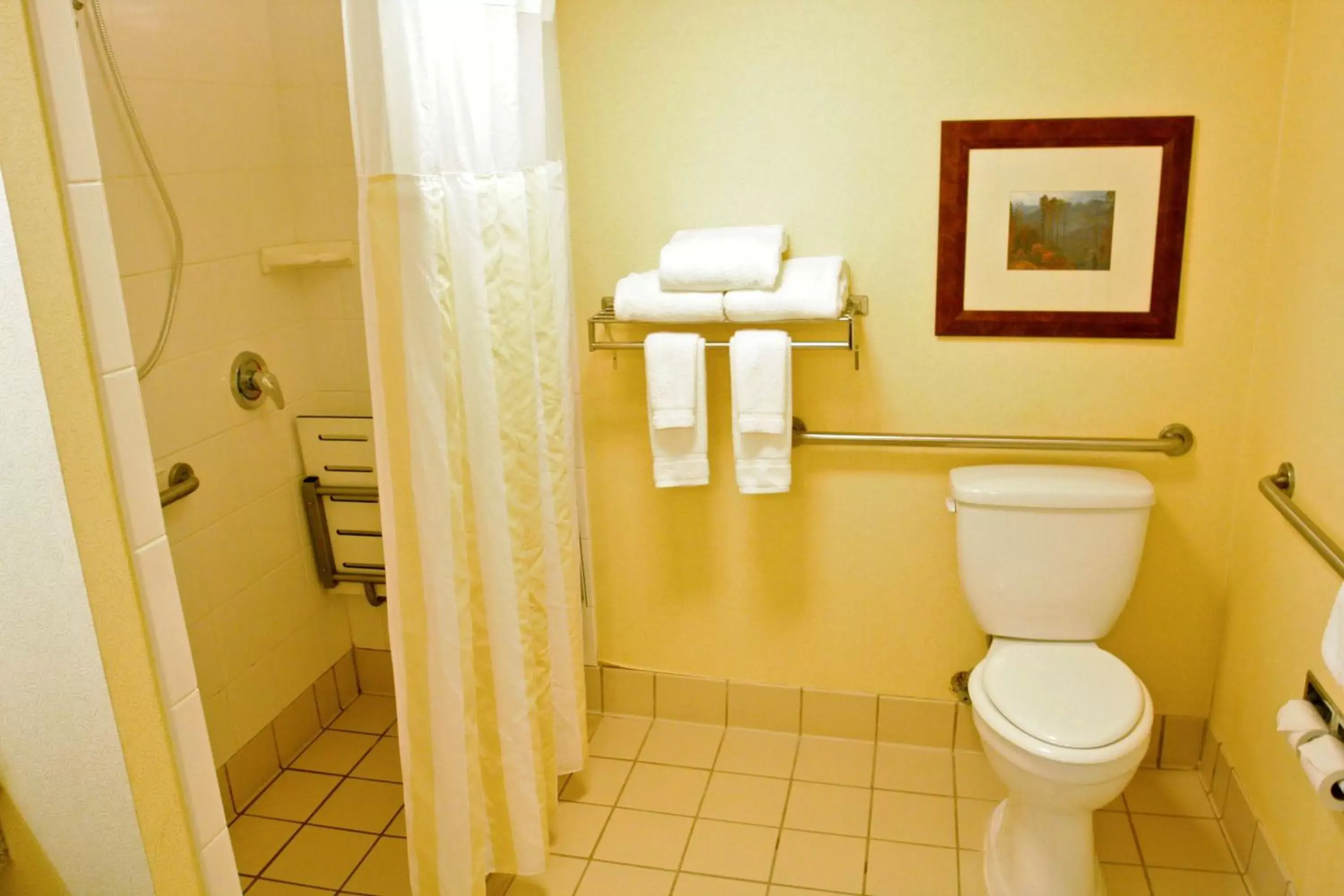 Bathroom in Hilton Garden Inn Albany