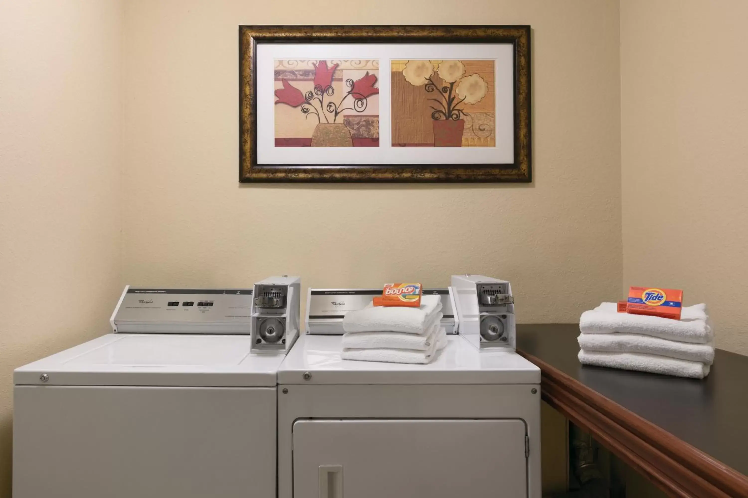 Area and facilities in Country Inn & Suites by Radisson, Tampa Airport North, FL