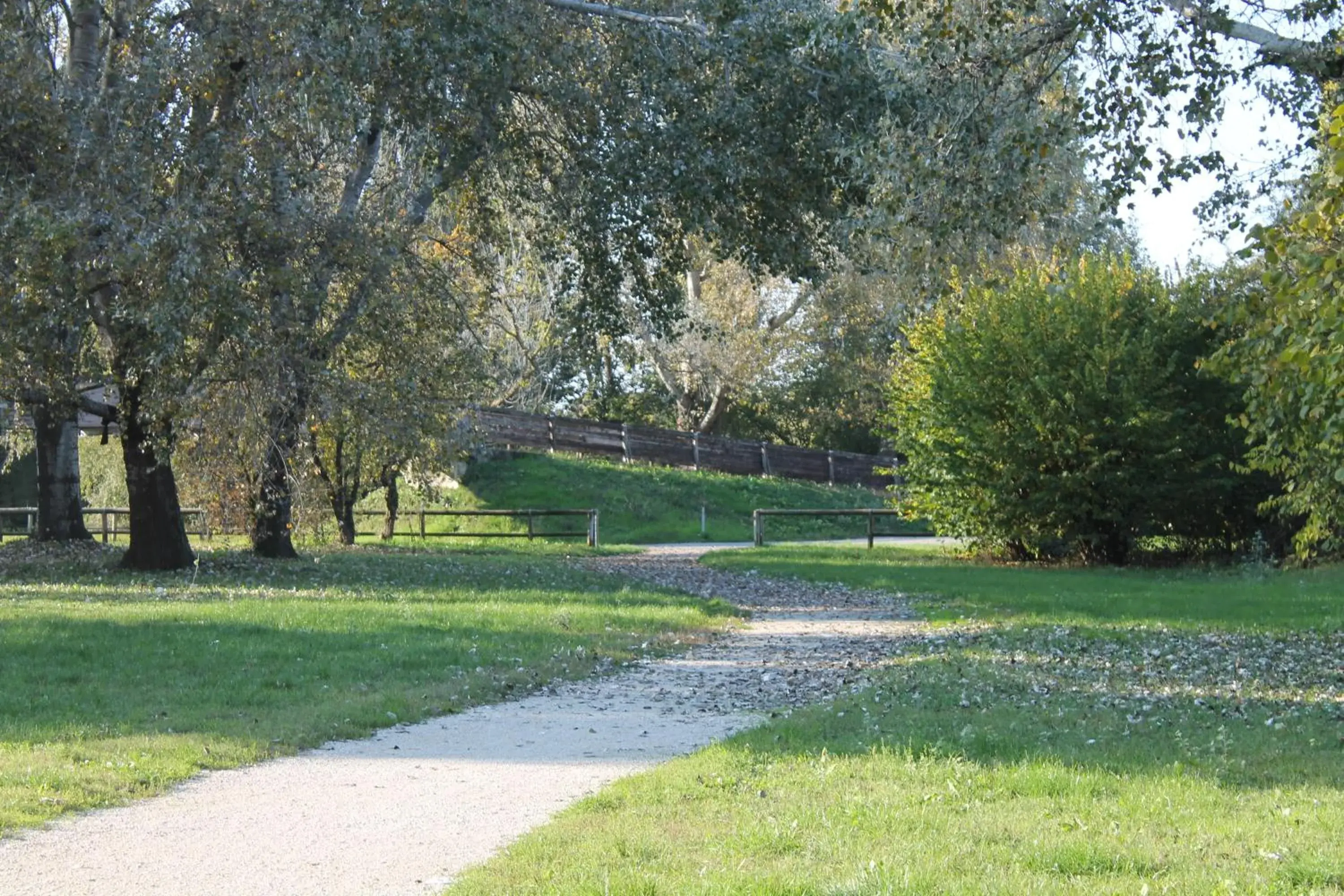 Cycling, Garden in Hotel Cremona Viale