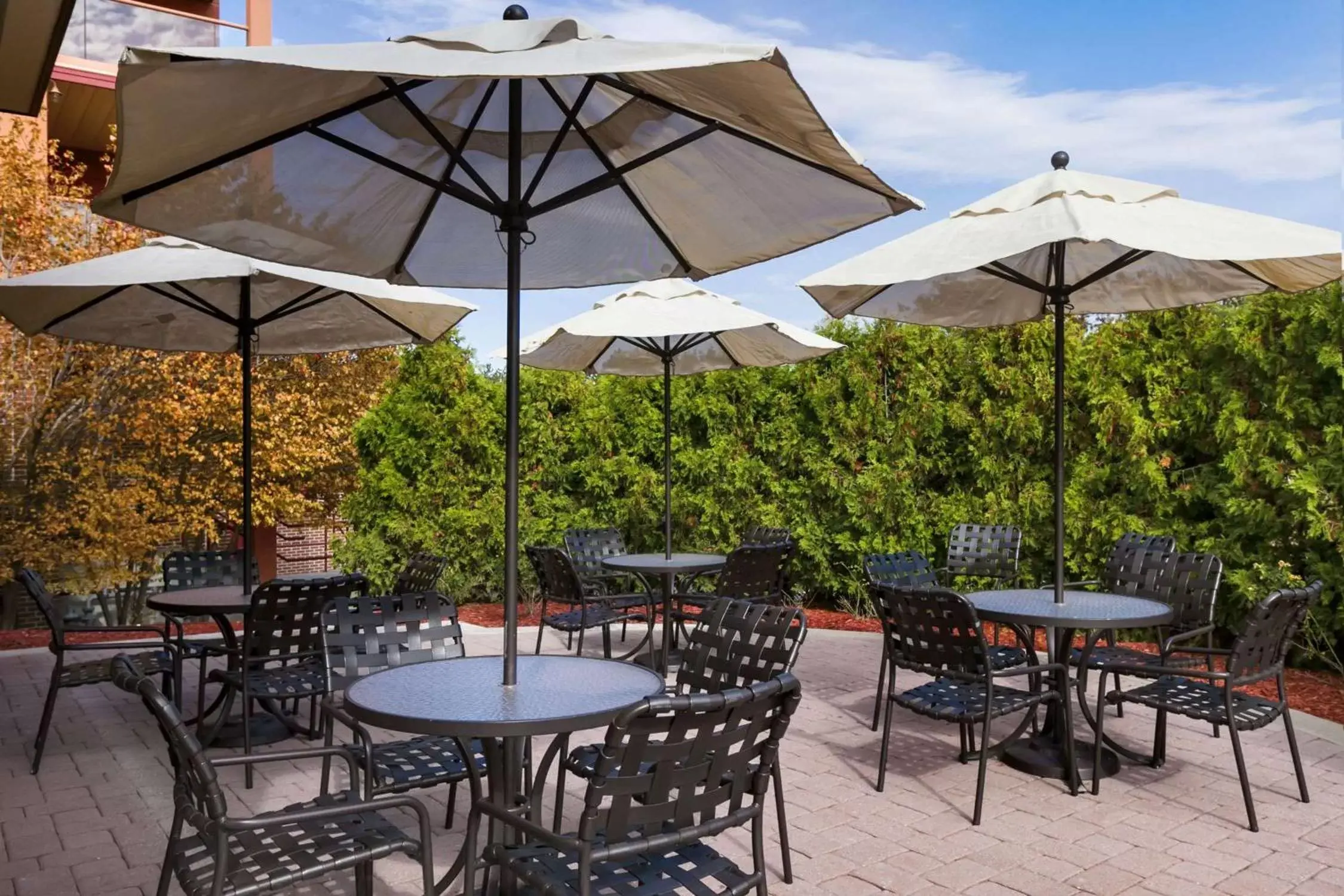 Patio, Patio/Outdoor Area in Hilton Garden Inn Wisconsin Dells