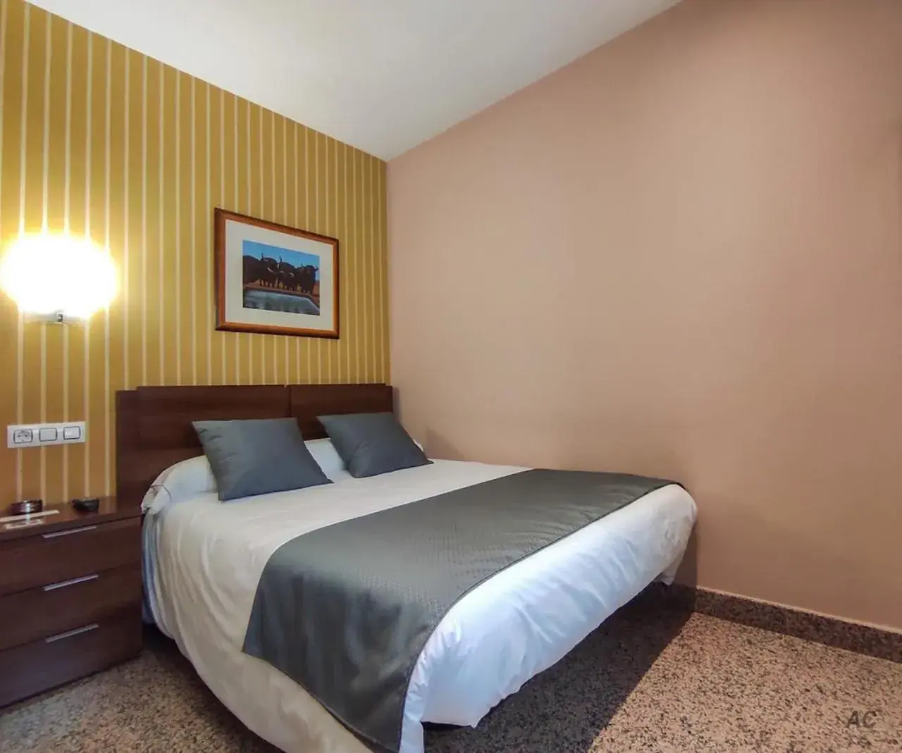 Small Single Room in Hotel Arcos Catedral
