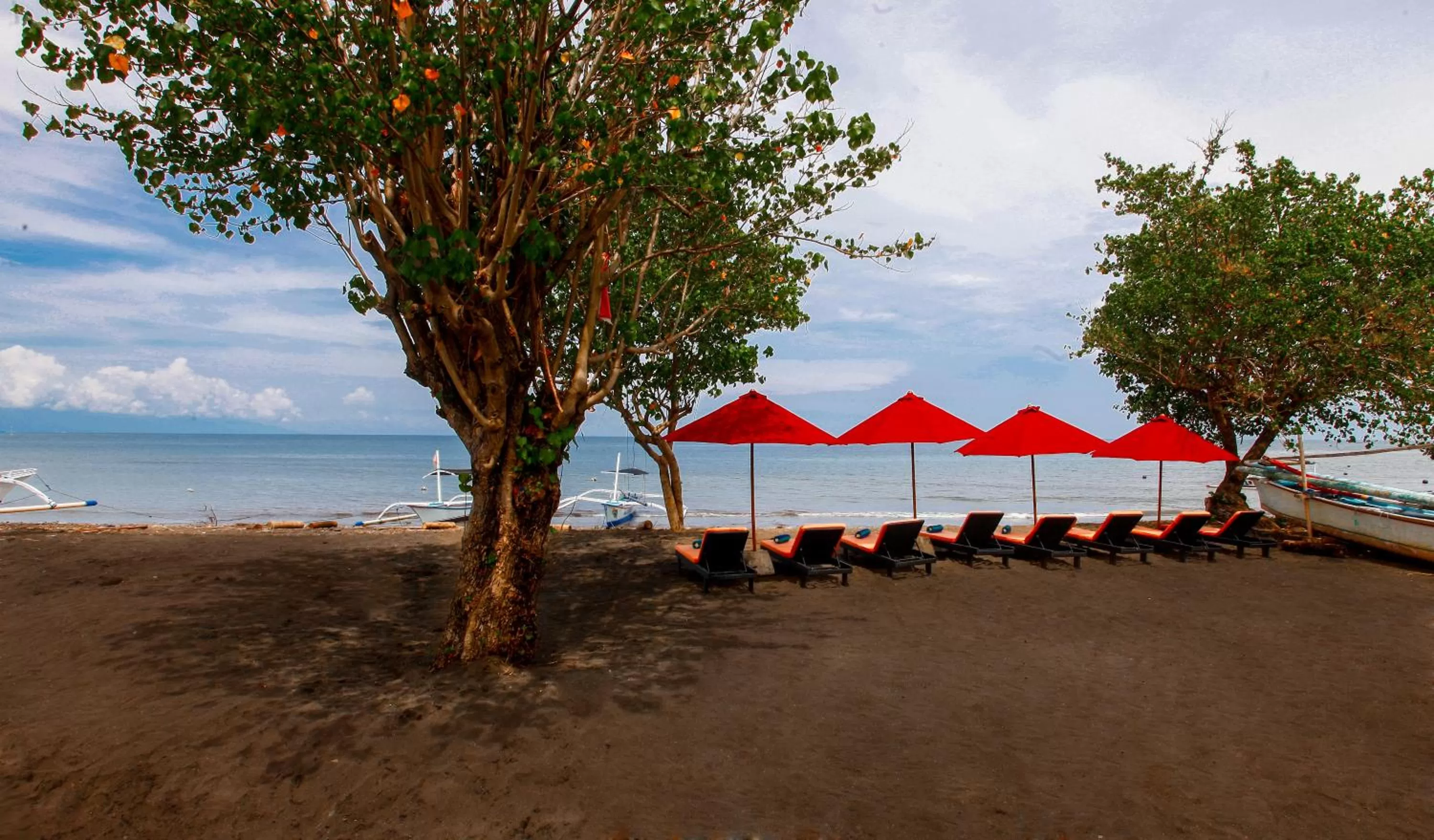 Beach in Bali Taman Beach Resort & Spa Lovina