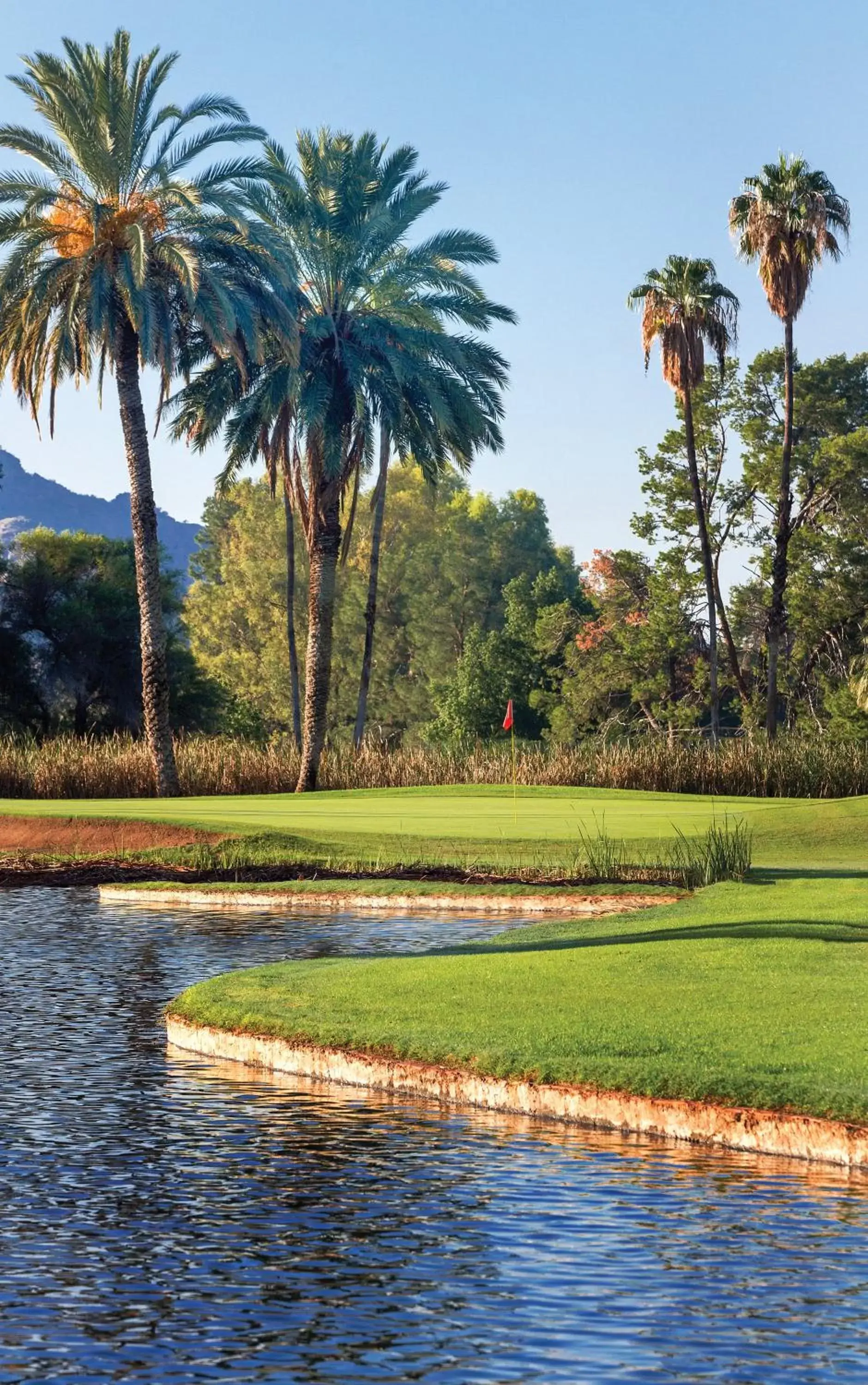 Golfcourse in Orange Tree Resort