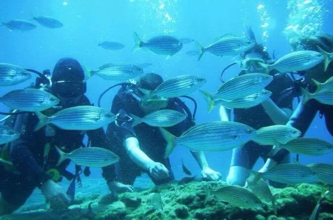 Snorkeling in Platoni Elite