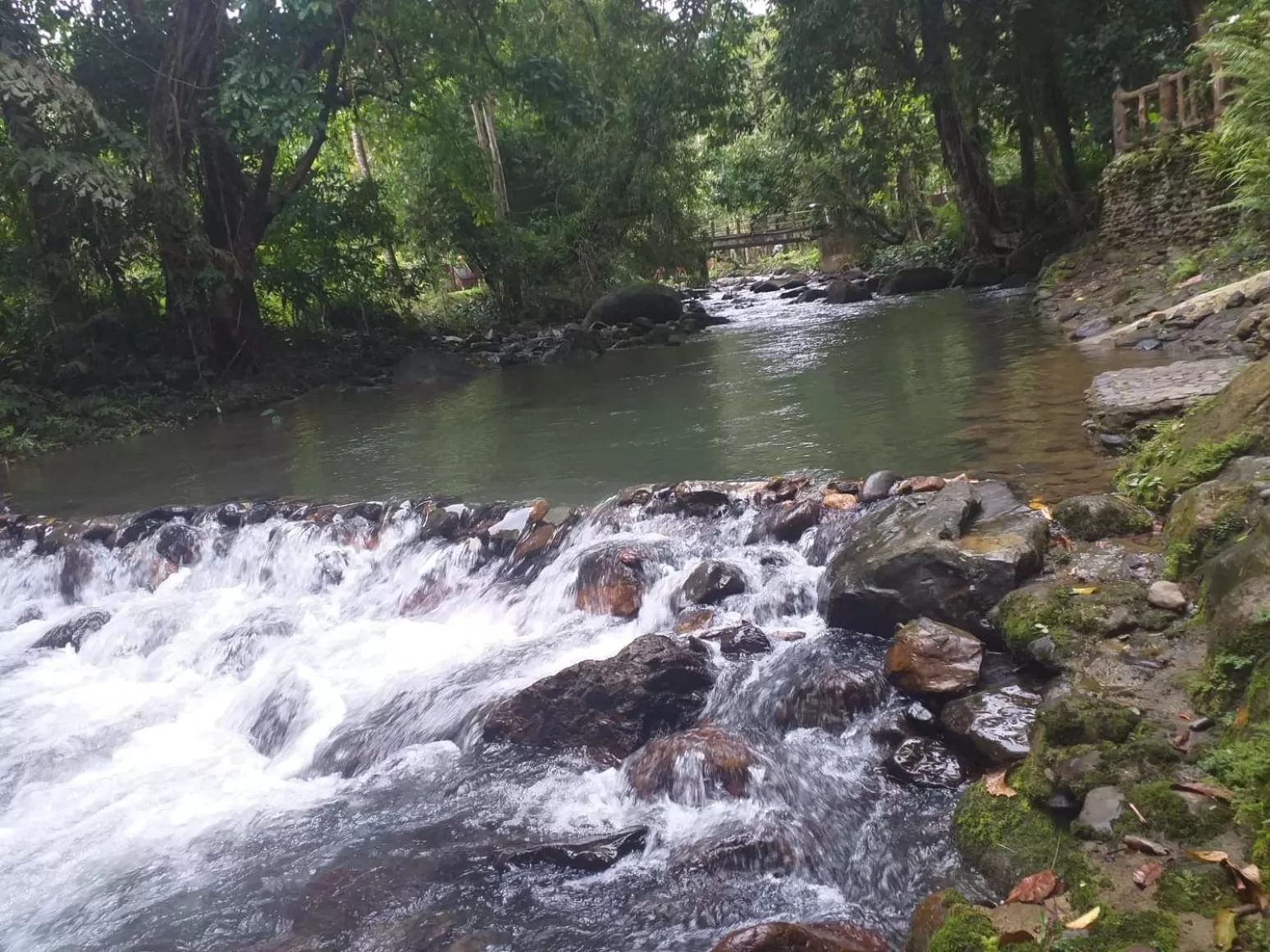 Tree Tops River Huts