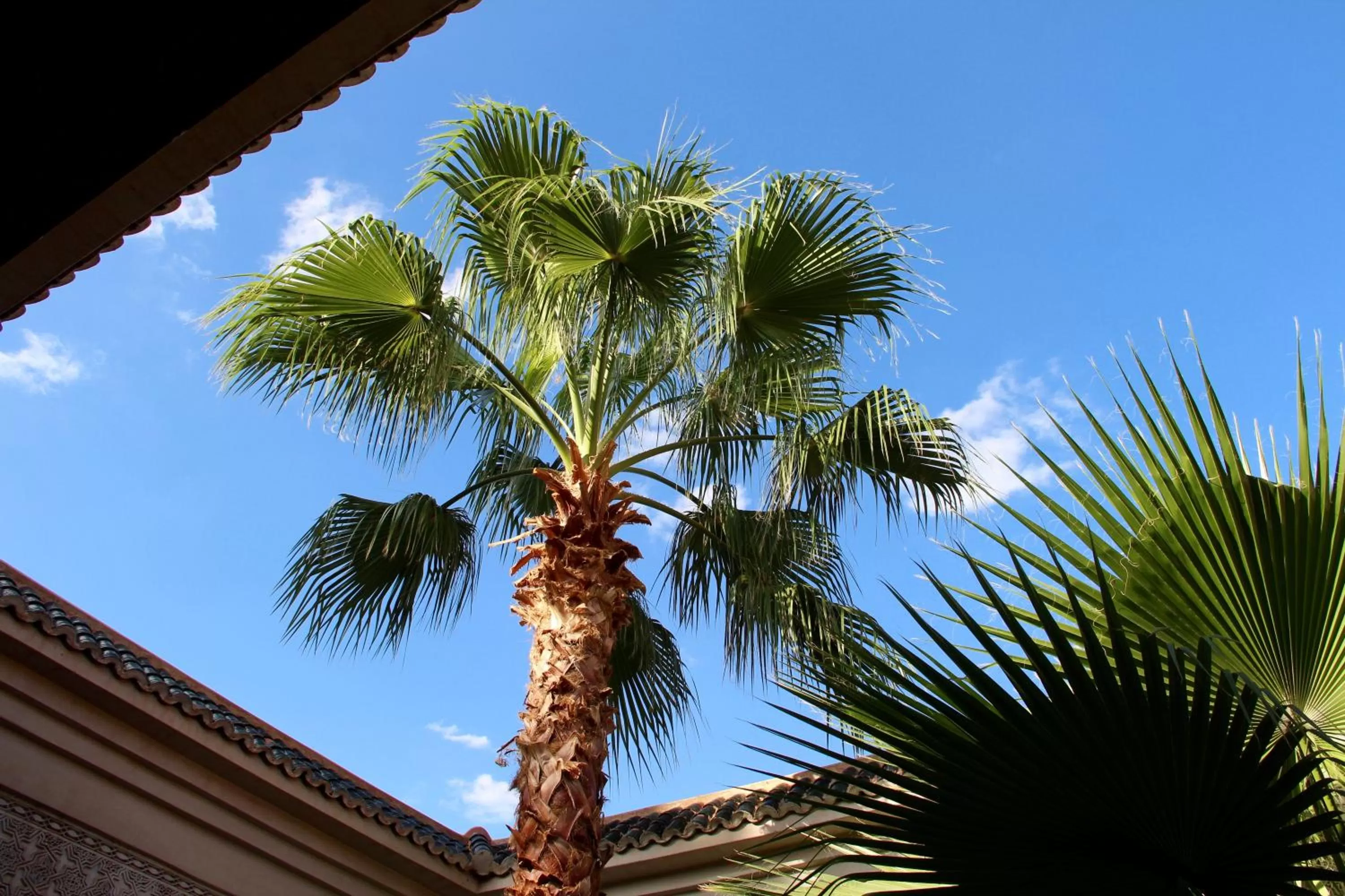 Patio in Dar Al Kounouz
