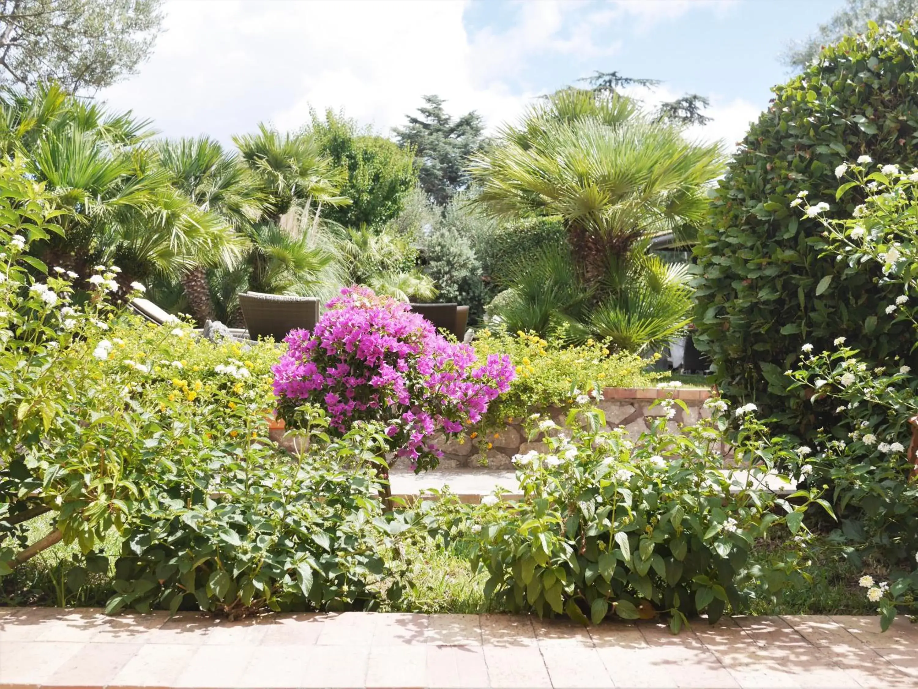 Garden in Hotel Villa Ceselle