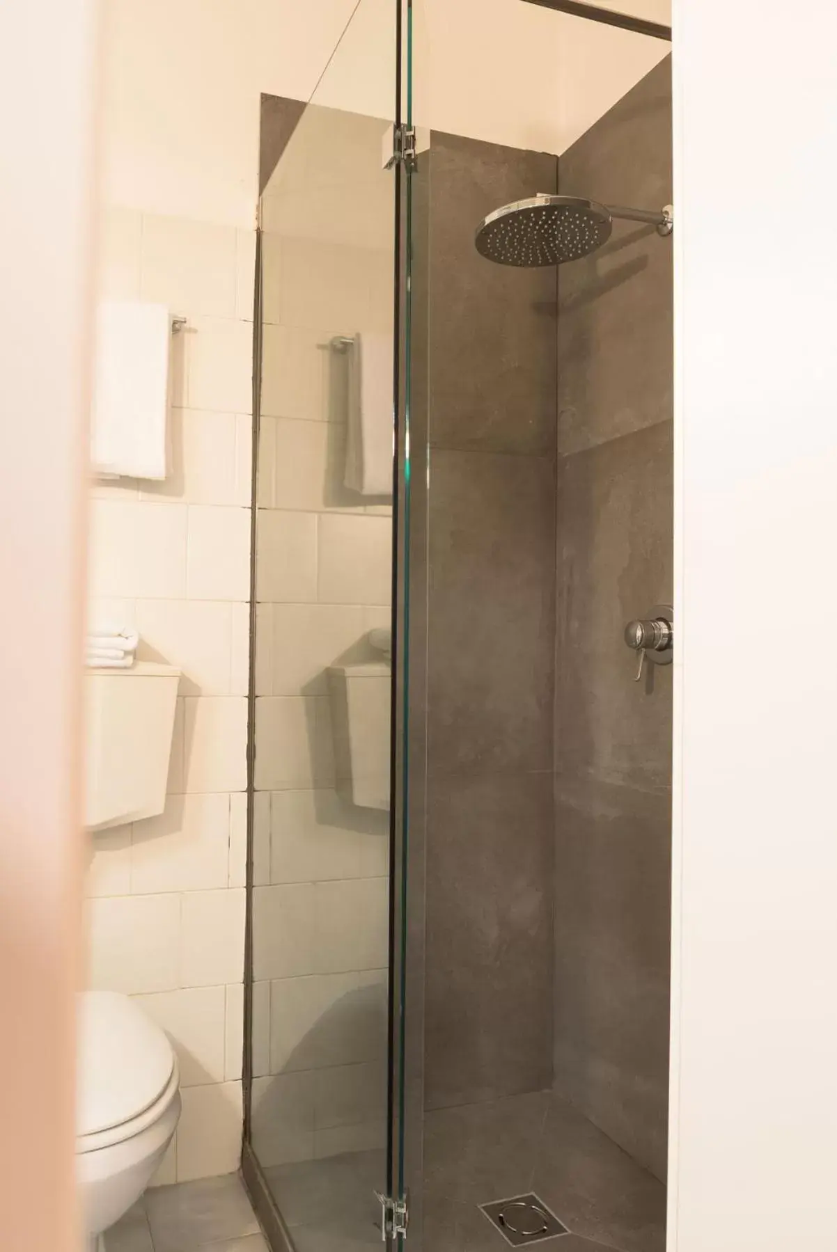 Shower, Bathroom in Hotel Arcadia