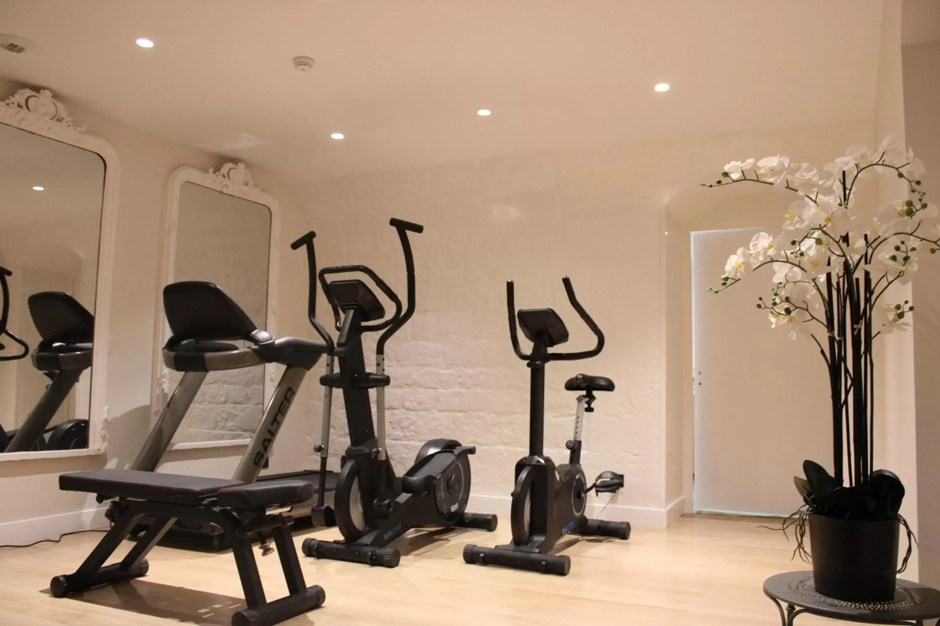 Fitness centre/facilities, Fitness Center/Facilities in Hôtel Alfred Sommier