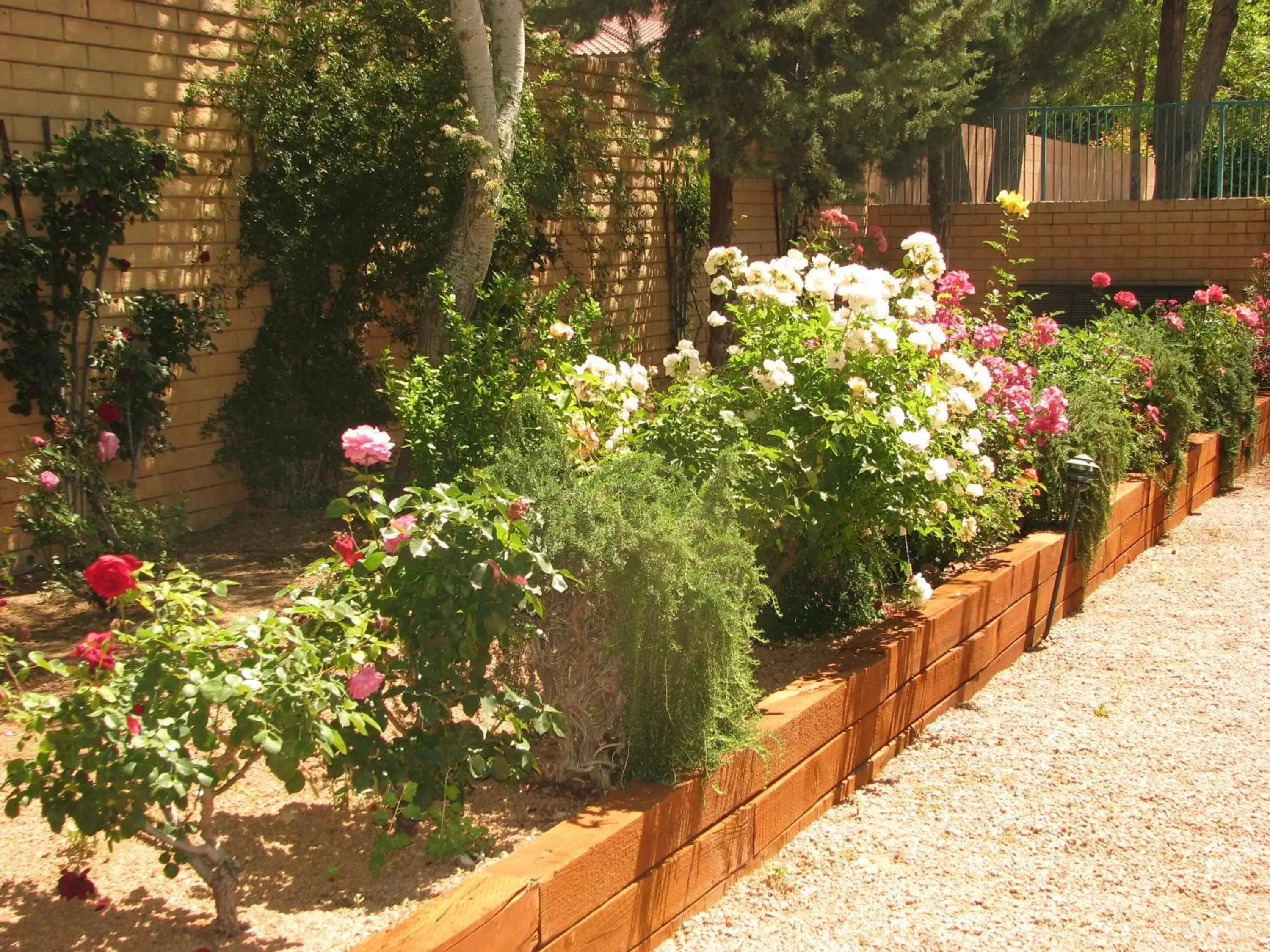 Decorative detail, Garden in Villas of Sedona, a VRI resort