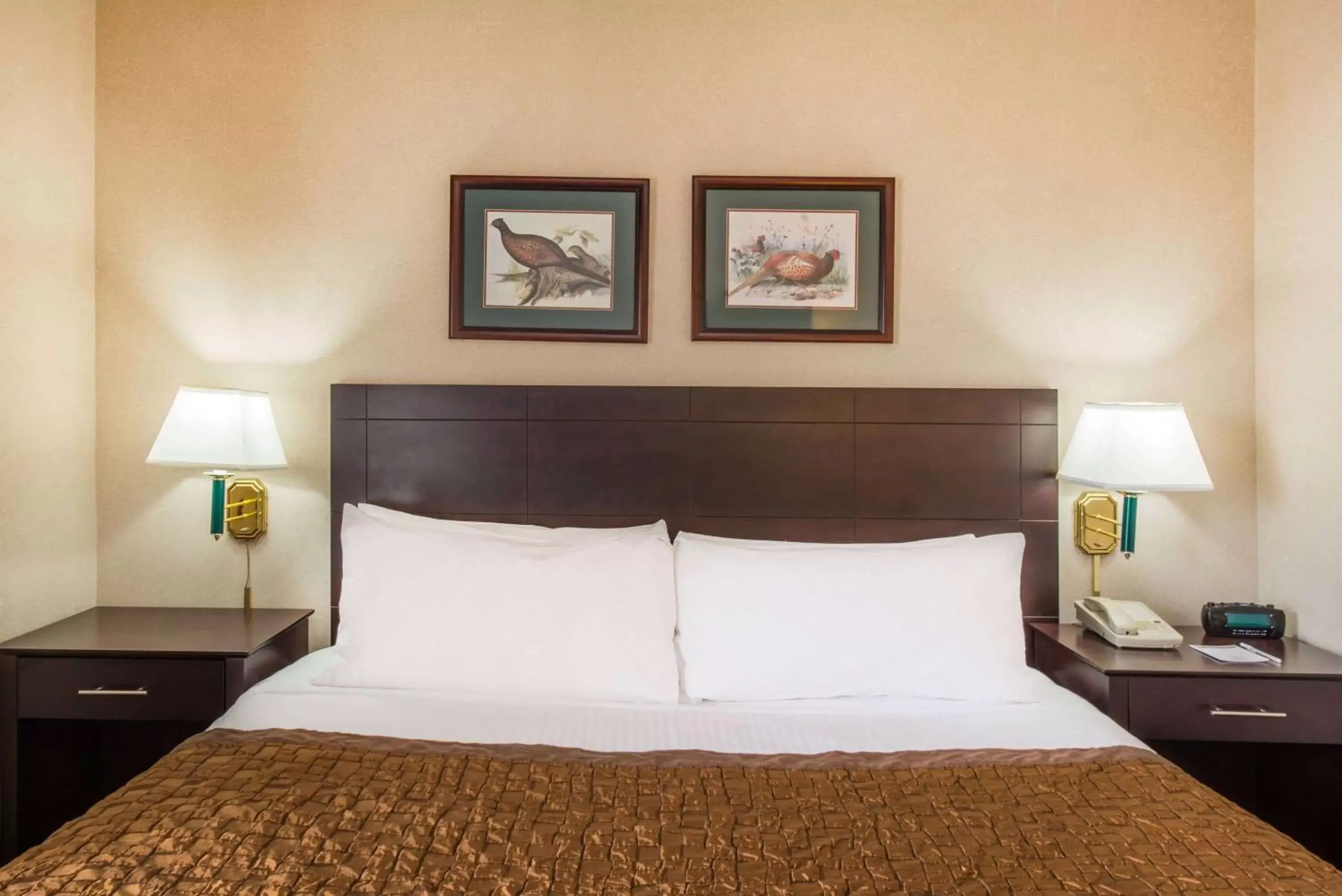 Bed in Hawthorn Suites by Wyndham El Paso