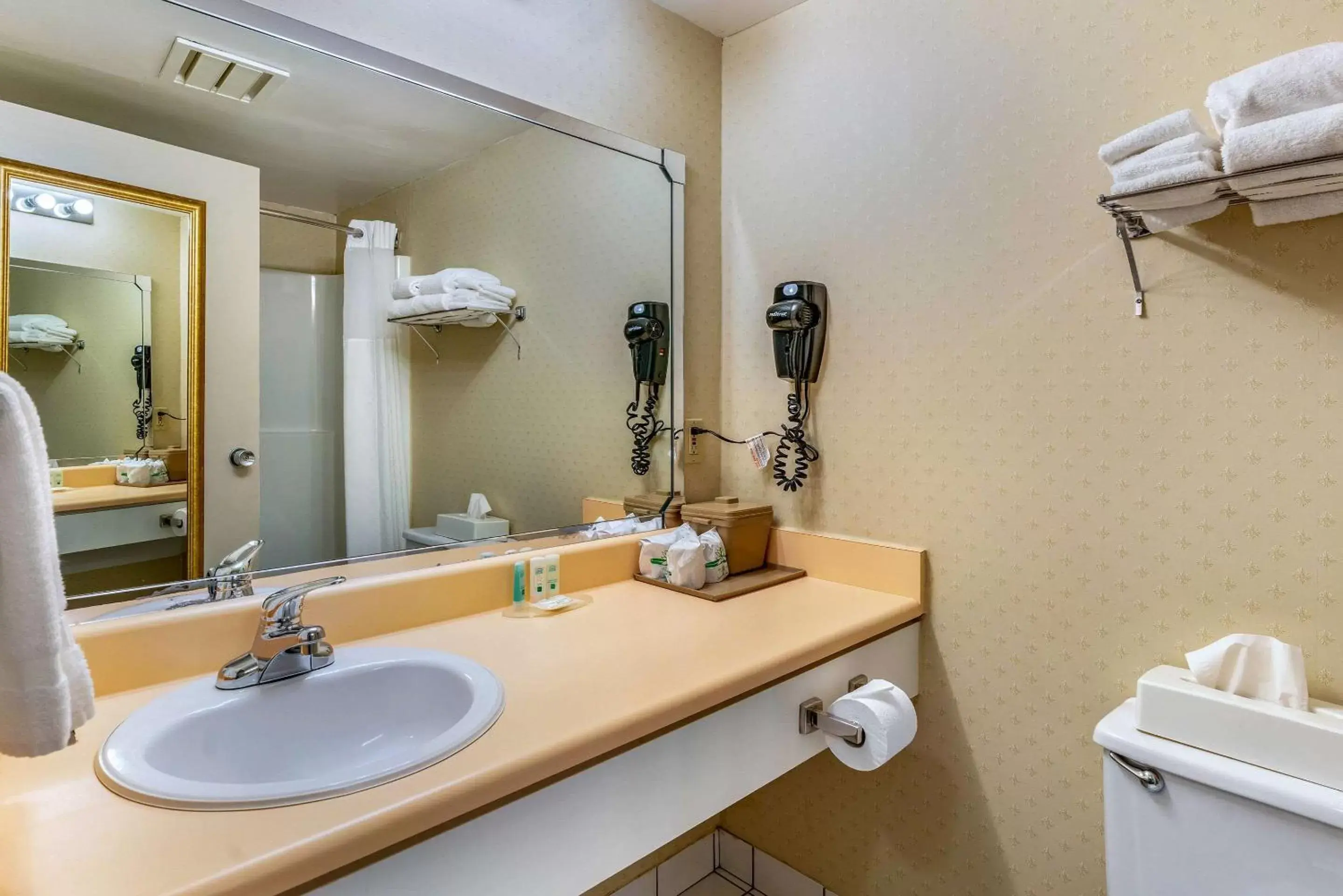 Photo of the whole room, Bathroom in Quality Hotel & Suites Sherbrooke