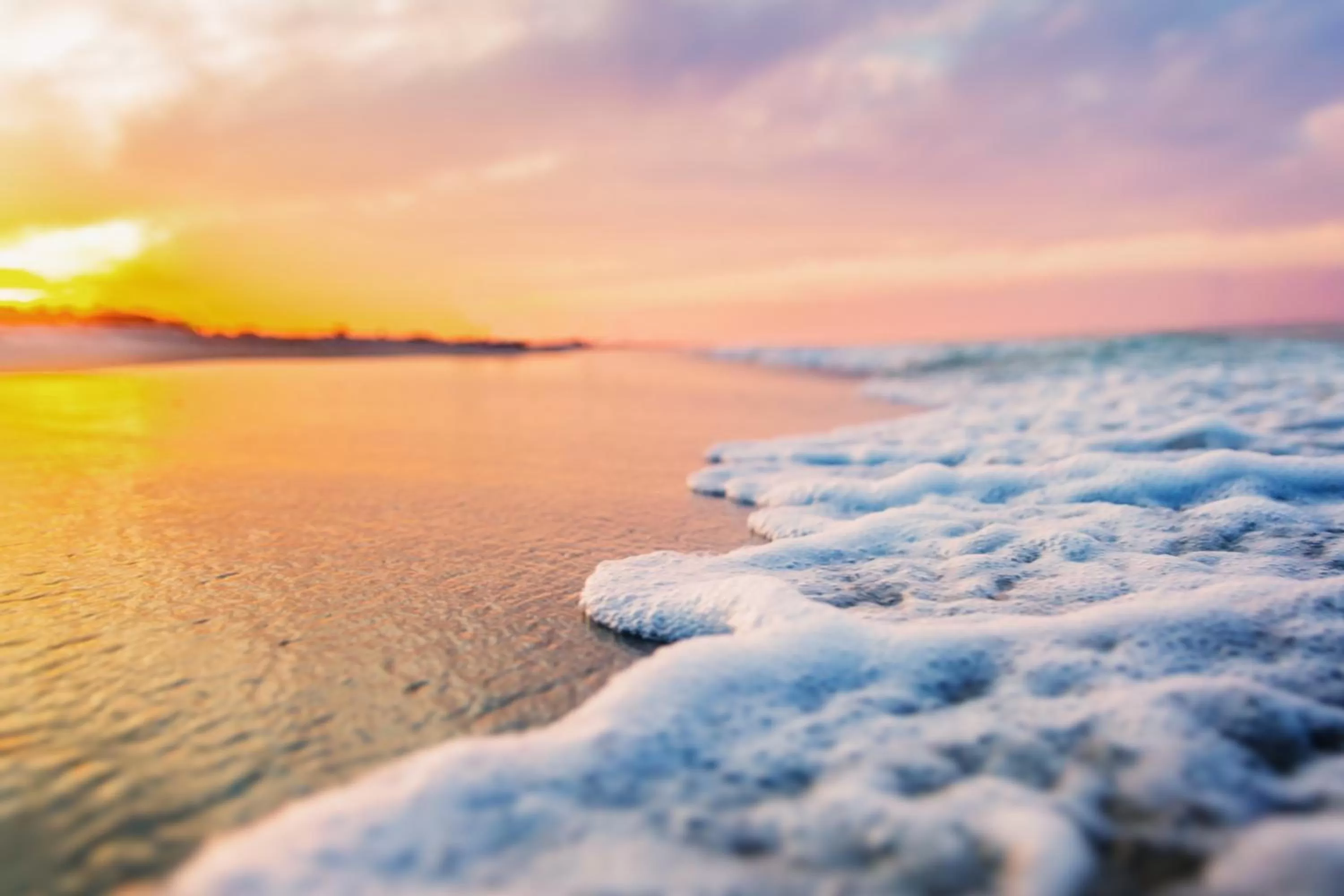Natural landscape in The Island Resort at Fort Walton Beach