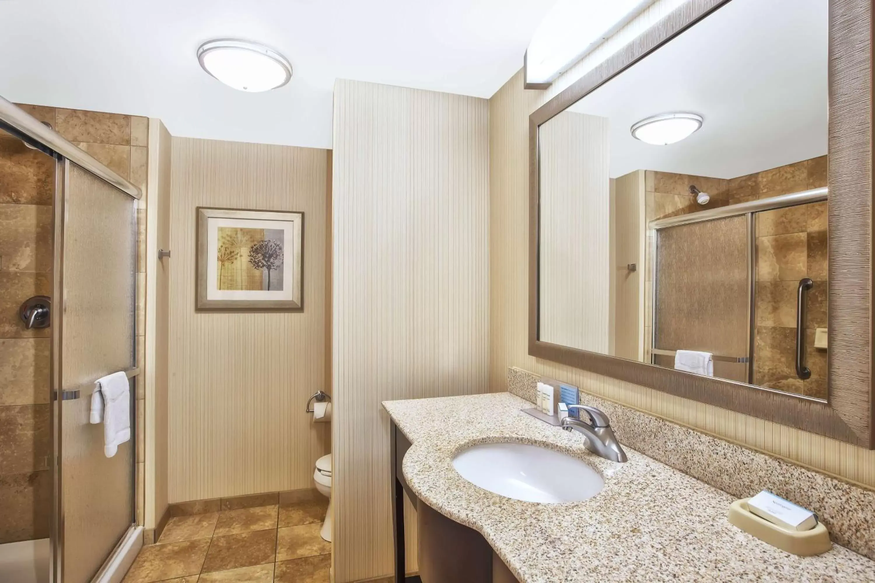 Bathroom in Hampton Inn & Suites Madison - West