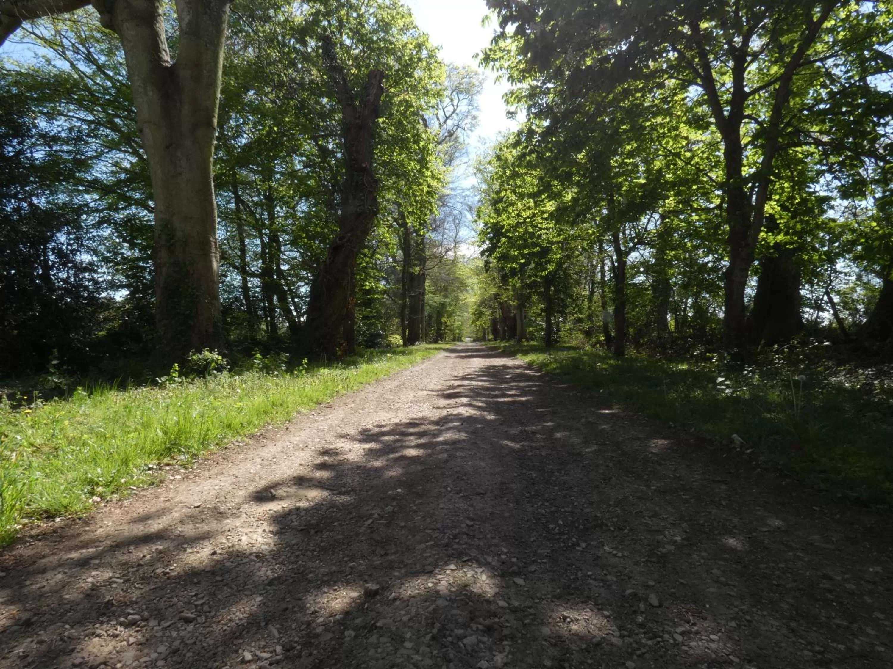 Summer in Hôtel des 4 continents - Le Mans