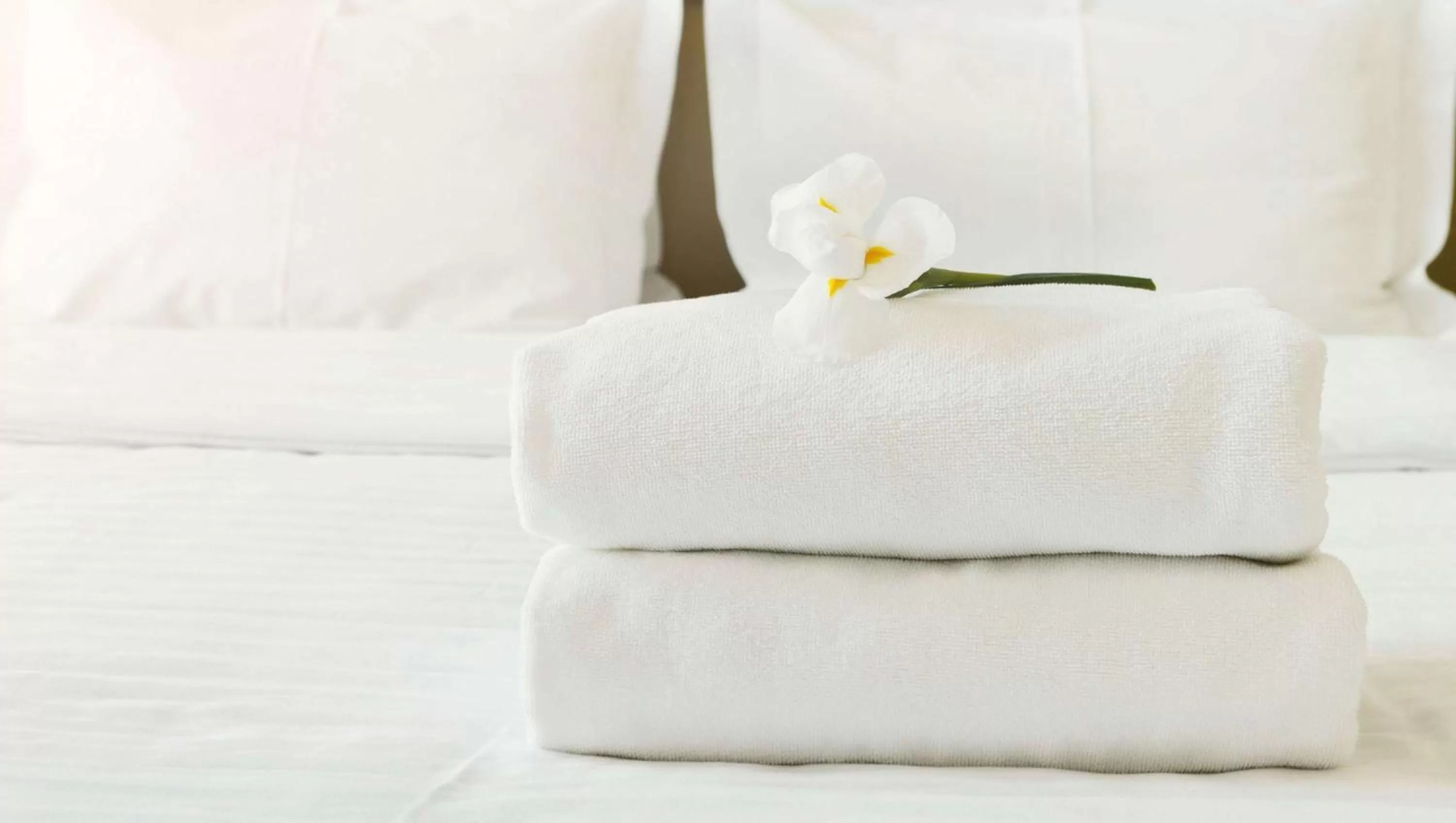 Photo of the whole room in Jasper Ridge Inn Ishpeming