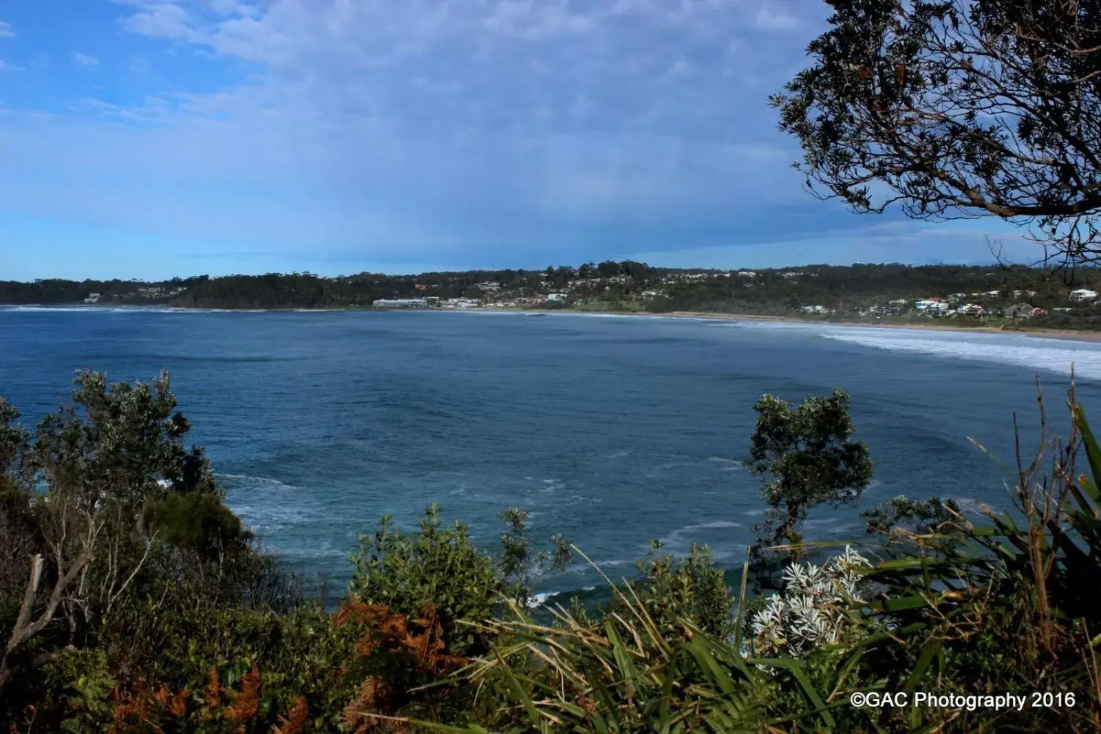 Mollymook Cove Apartments