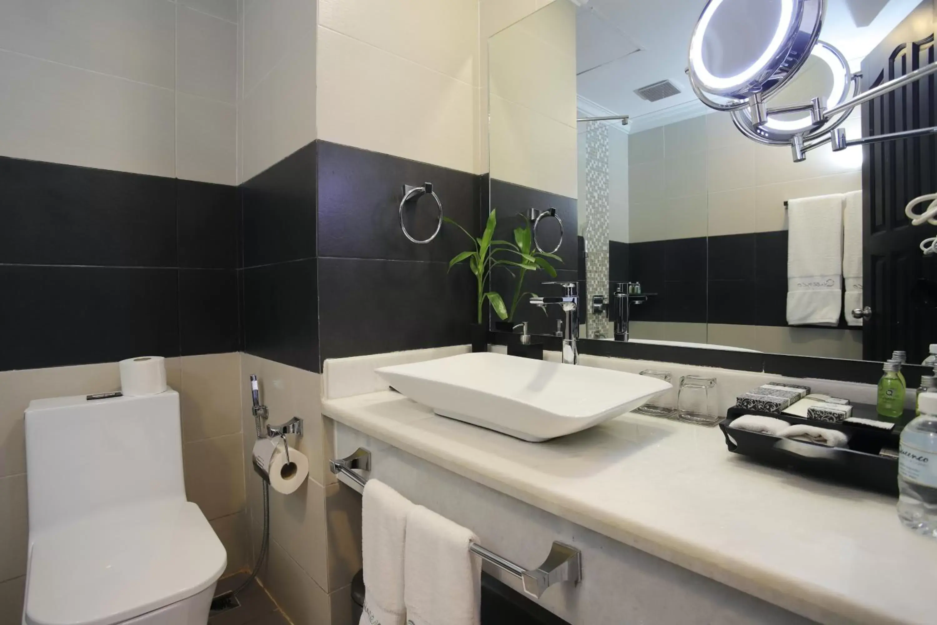 Toilet, Bathroom in Queenco Hotel & Casino