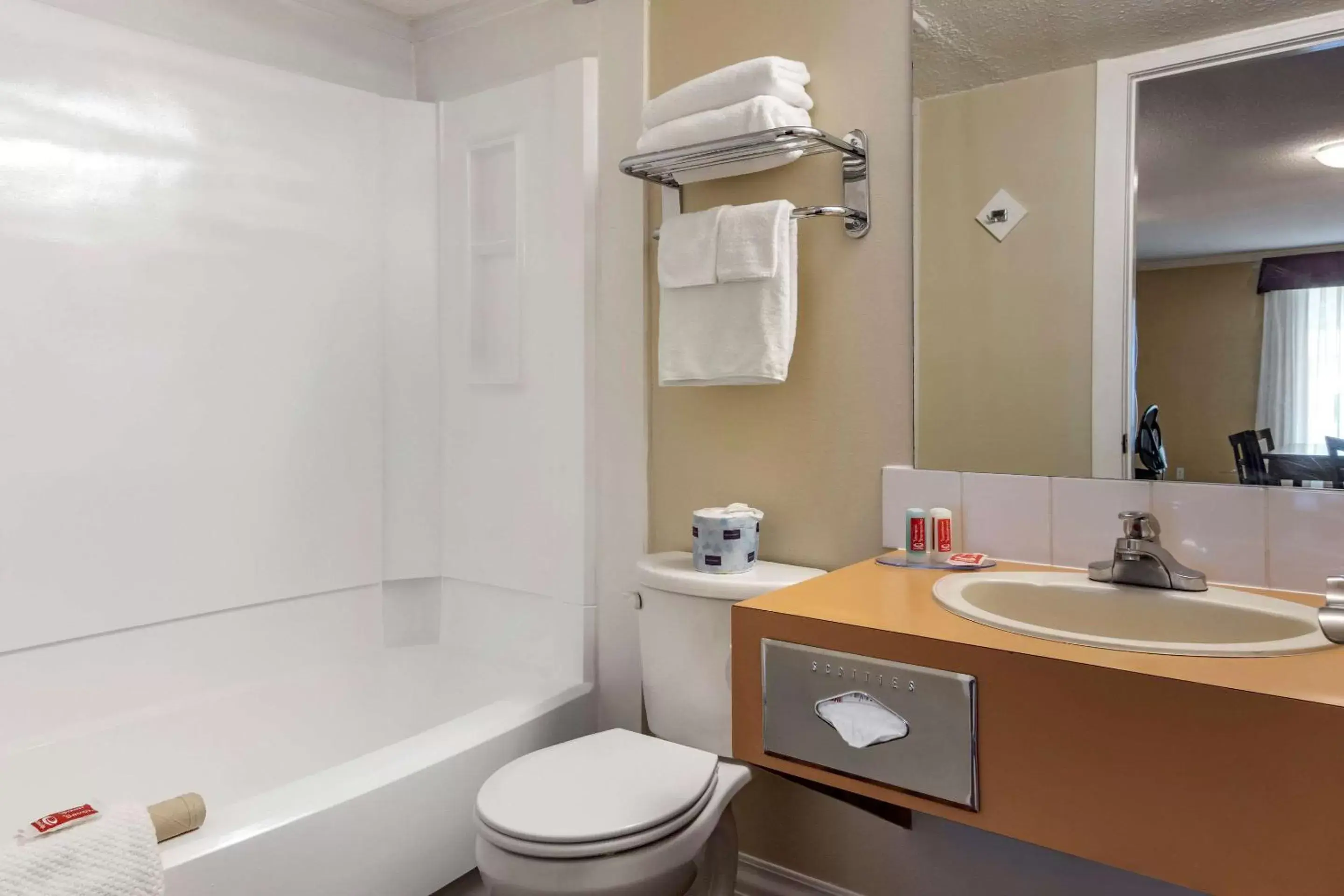 Bathroom in Econo Lodge Inn & Suites