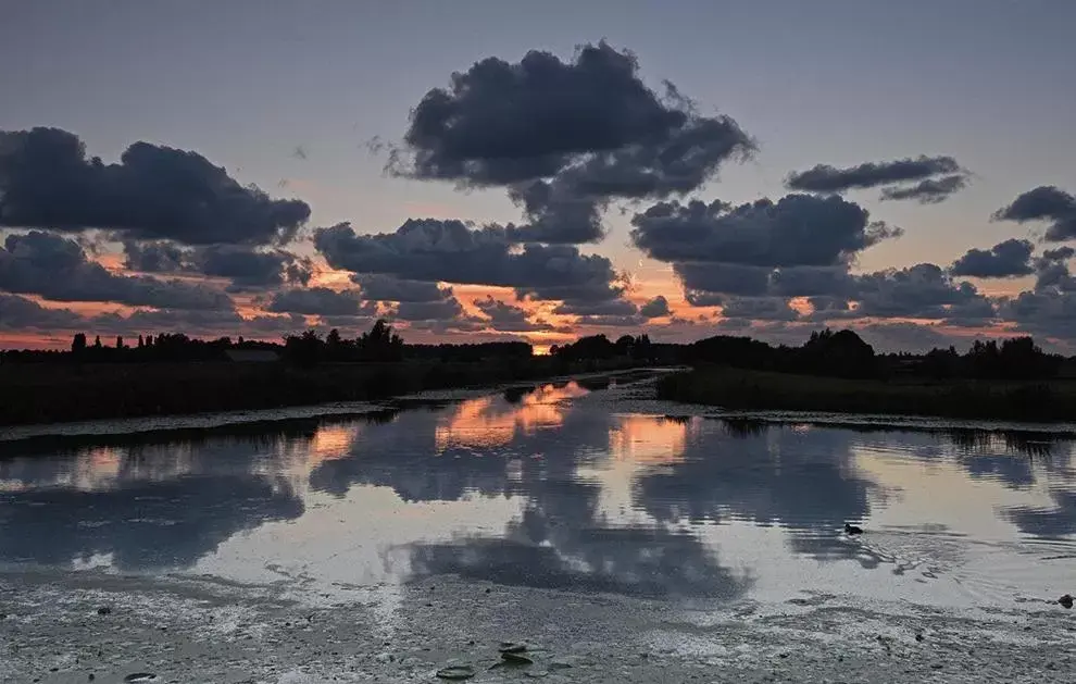 Natural landscape in B&B de Koepeltjes