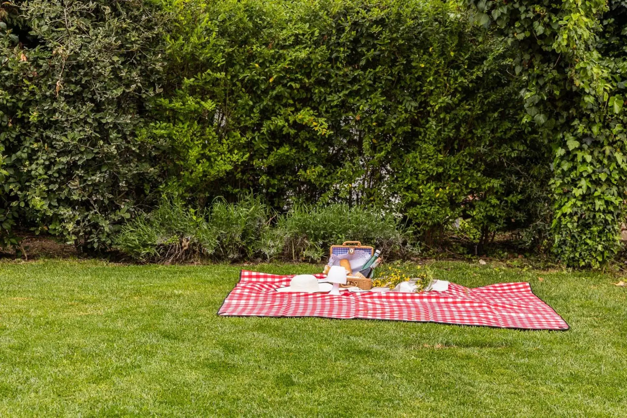 Garden in DormiVeglia B&B