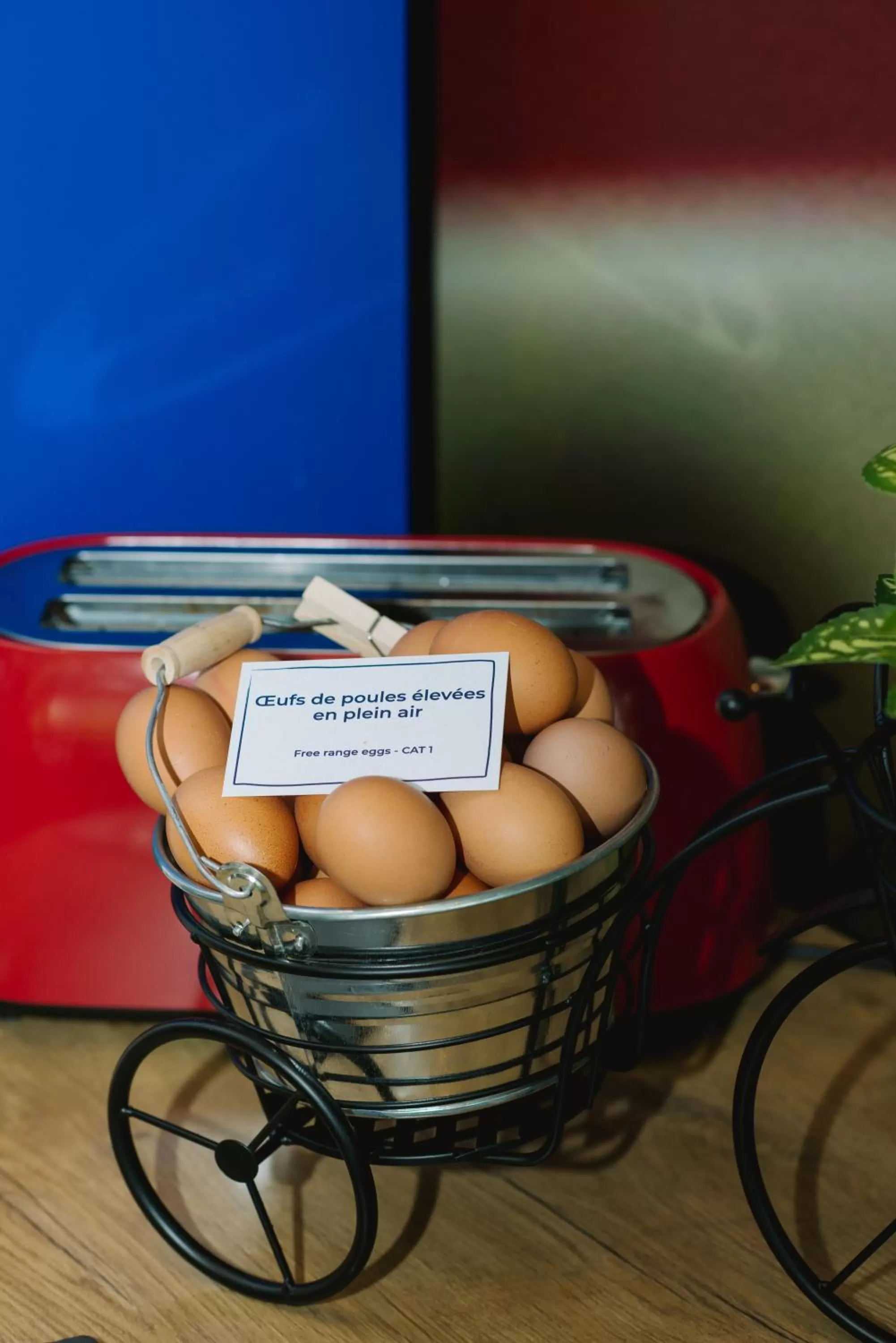 Food in ibis Avignon Centre Gare