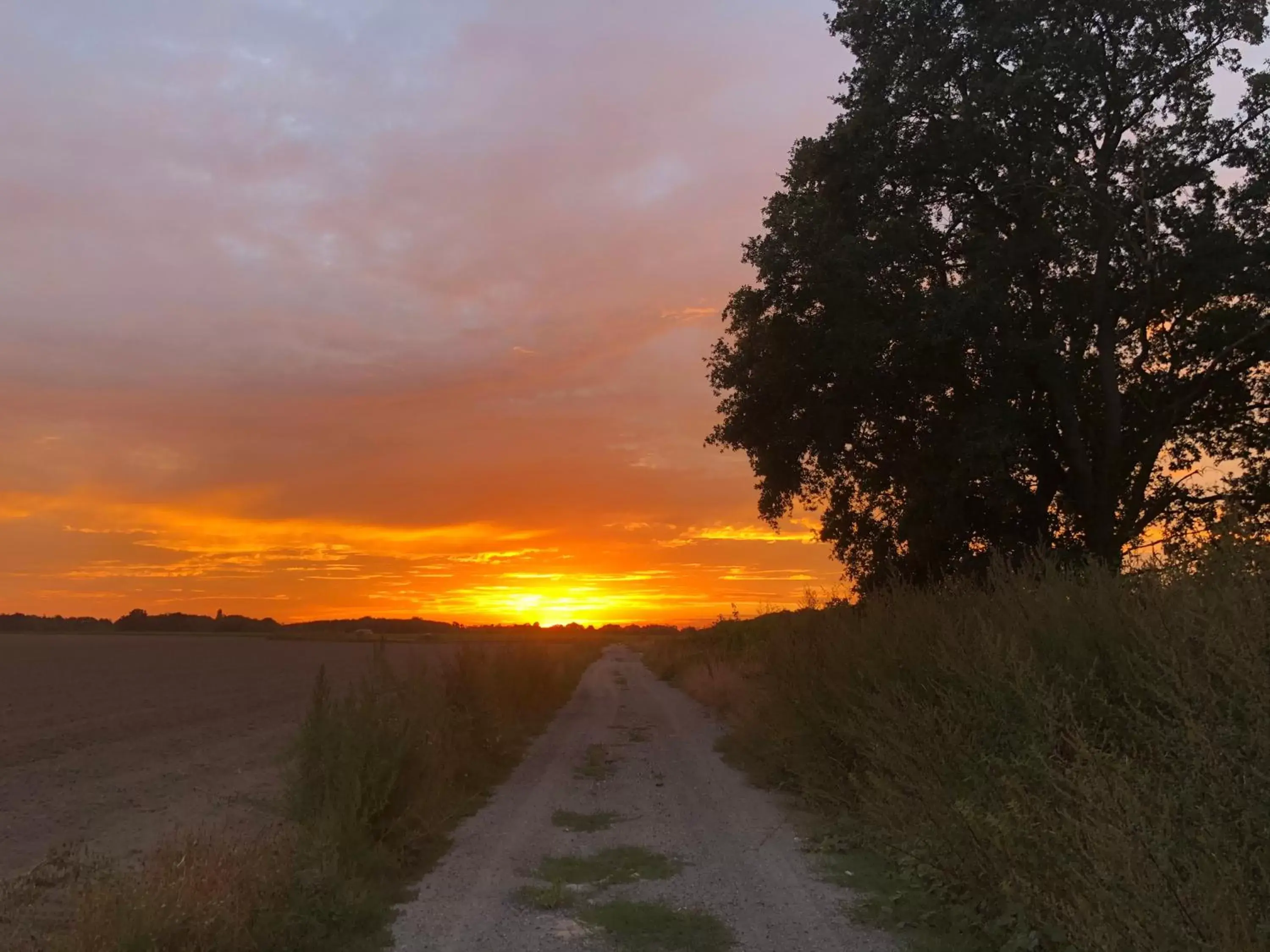 La plaine de l'Angelus