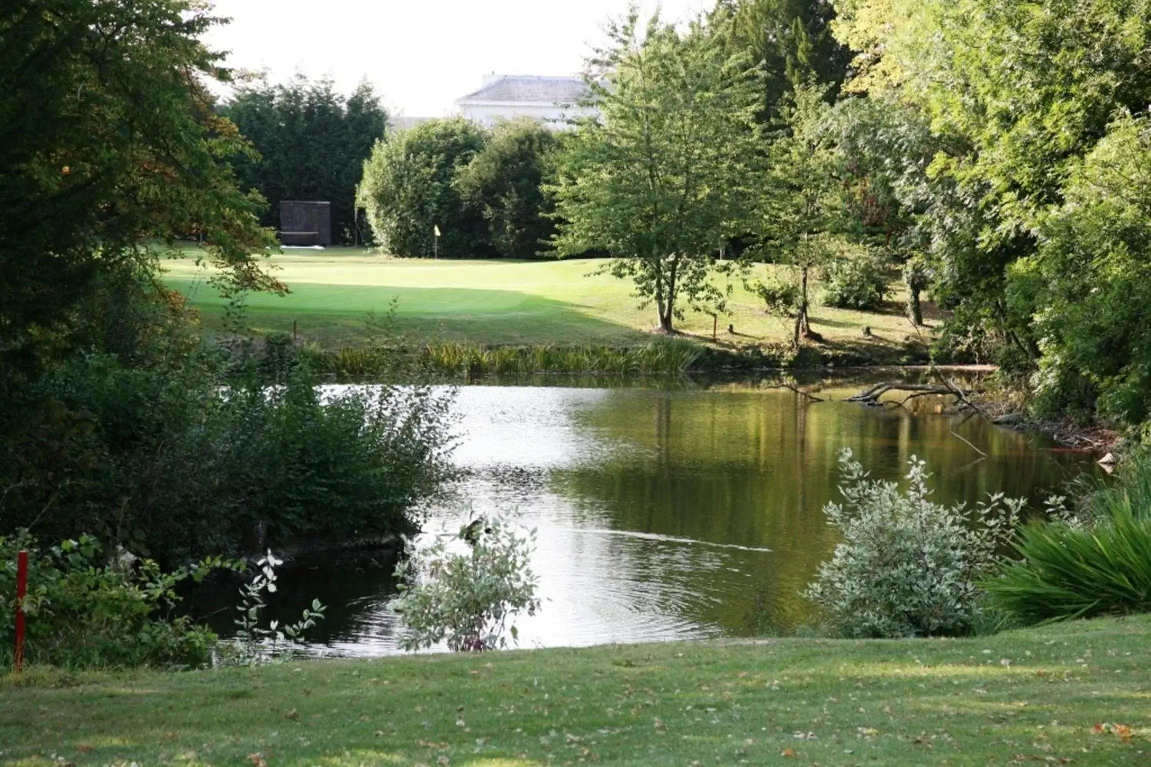 Day, Garden in Manor Of Groves Hotel