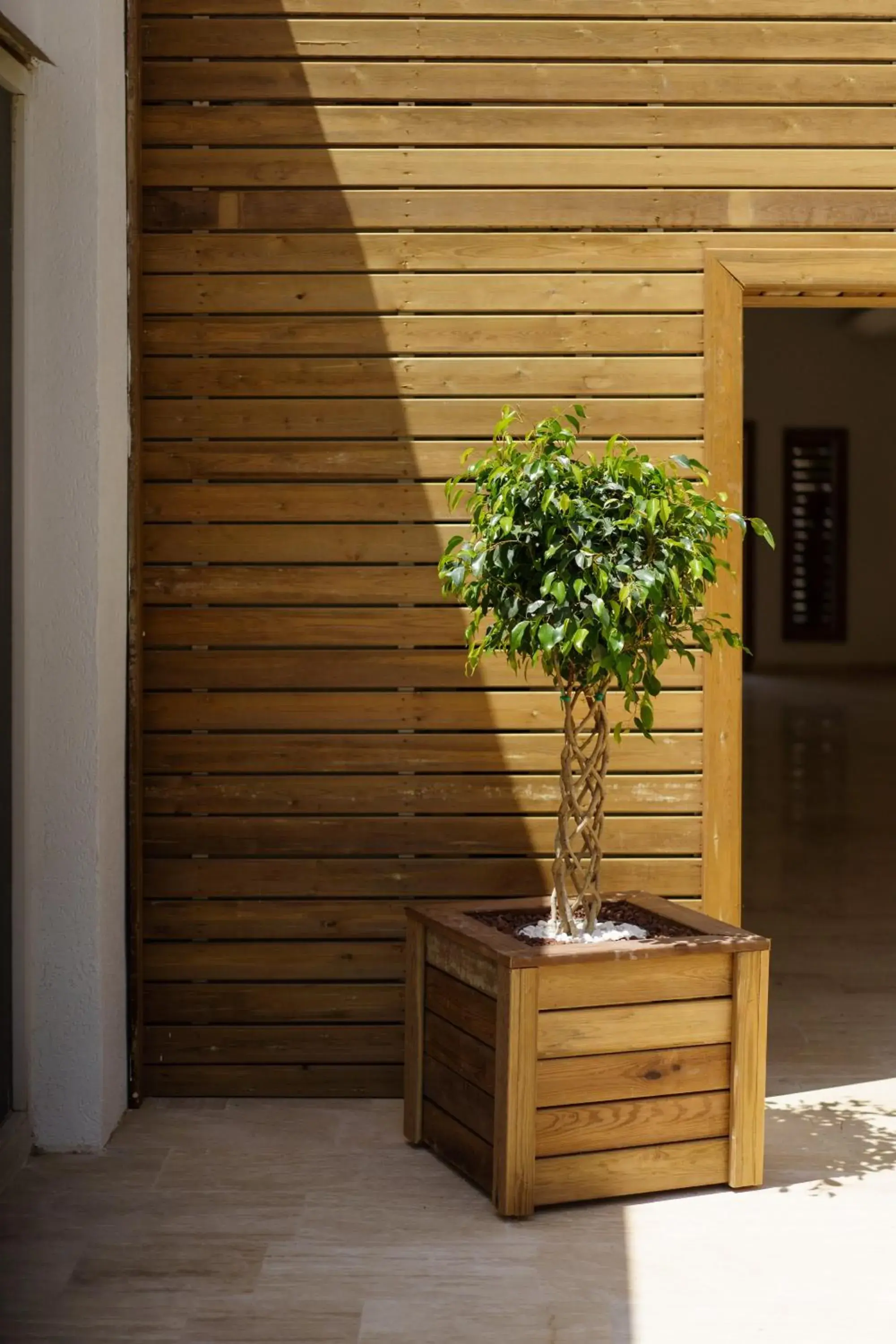 Facade/entrance in Costa Maya Bodrum Facade/entrance in Costa Maya Bodrum